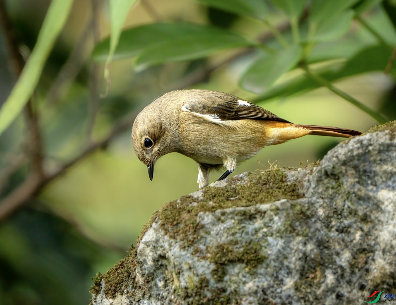 DSC06083-����ǿ ����.jpeg