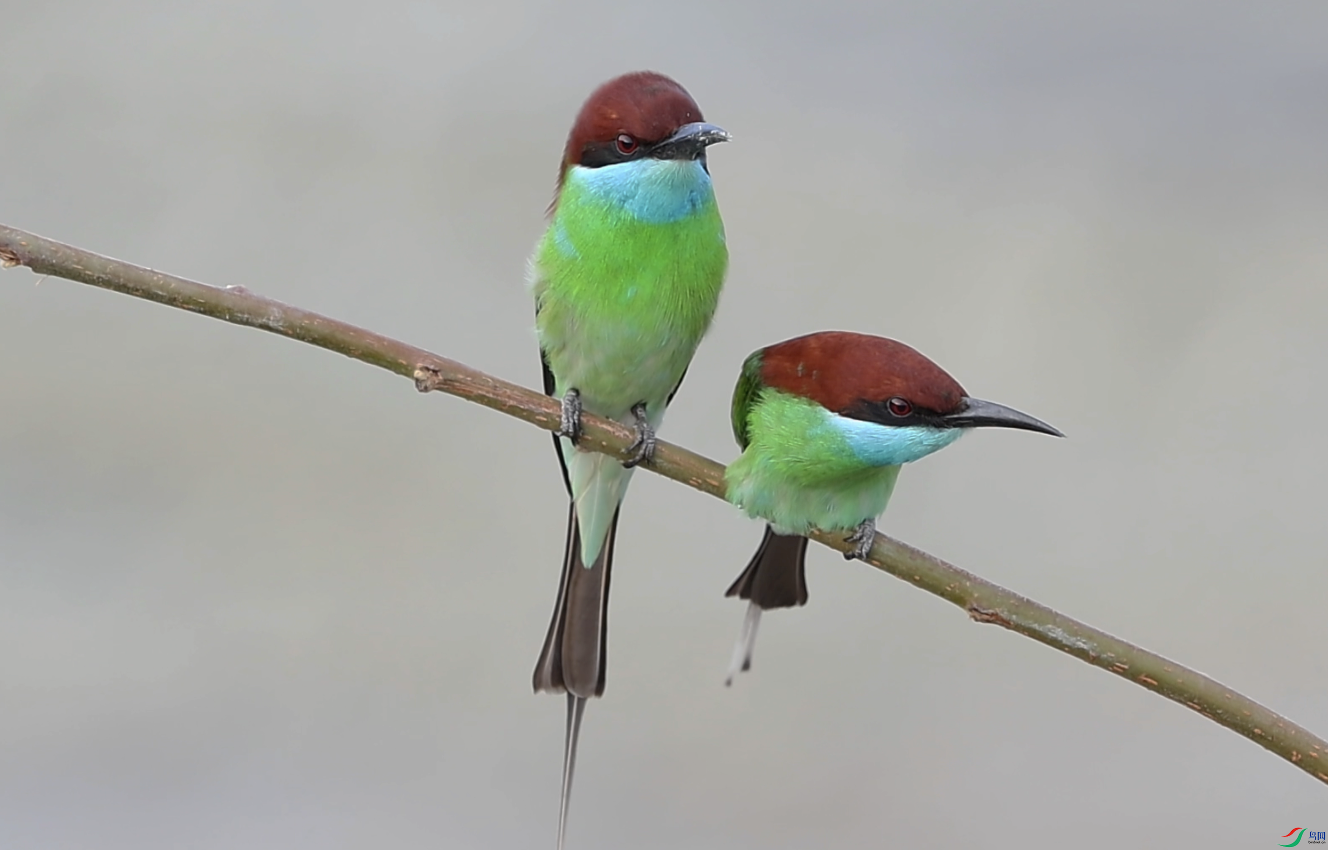 ����2024-07-21 10.39.28.png