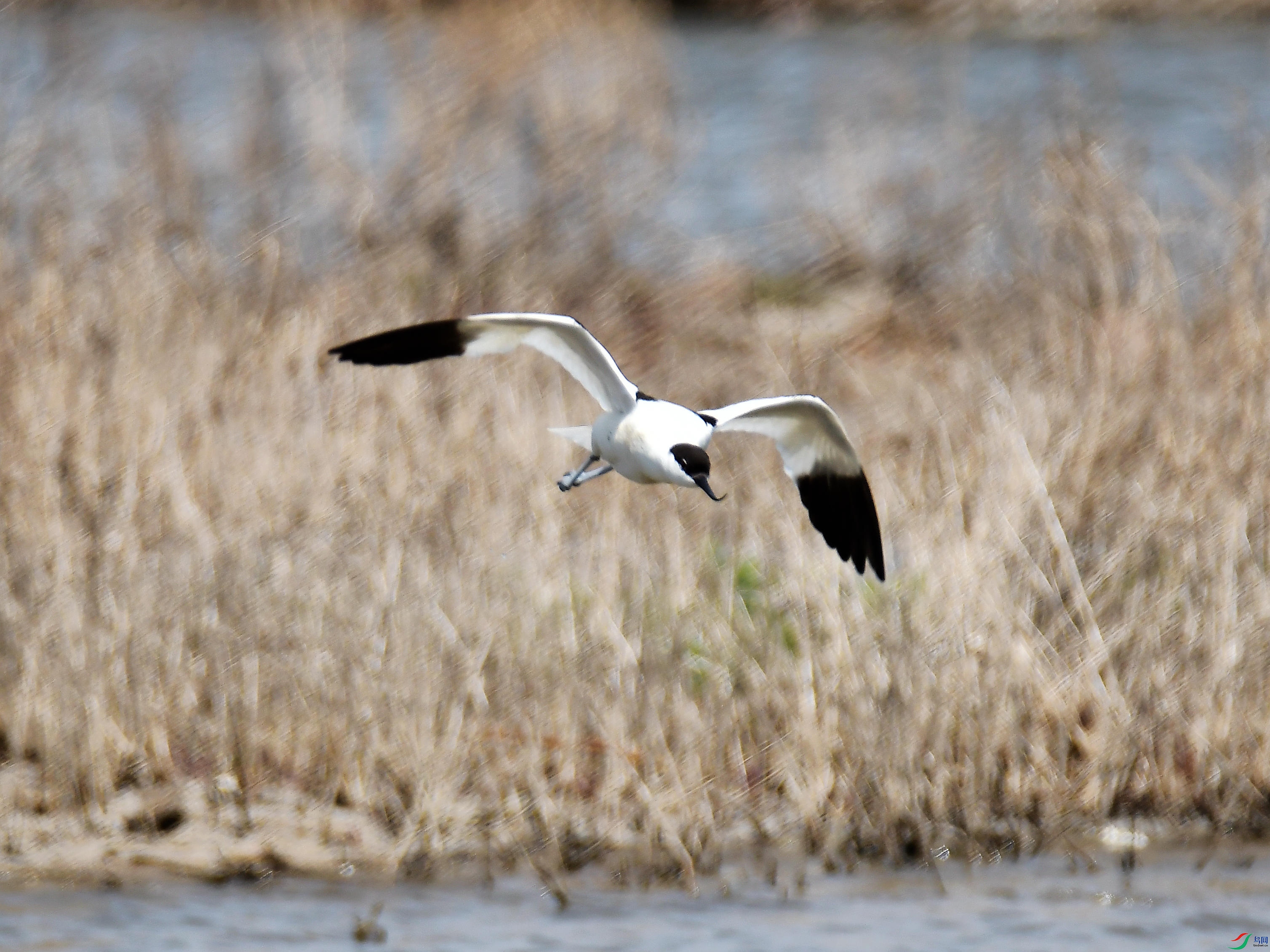 DSC_0539.jpg