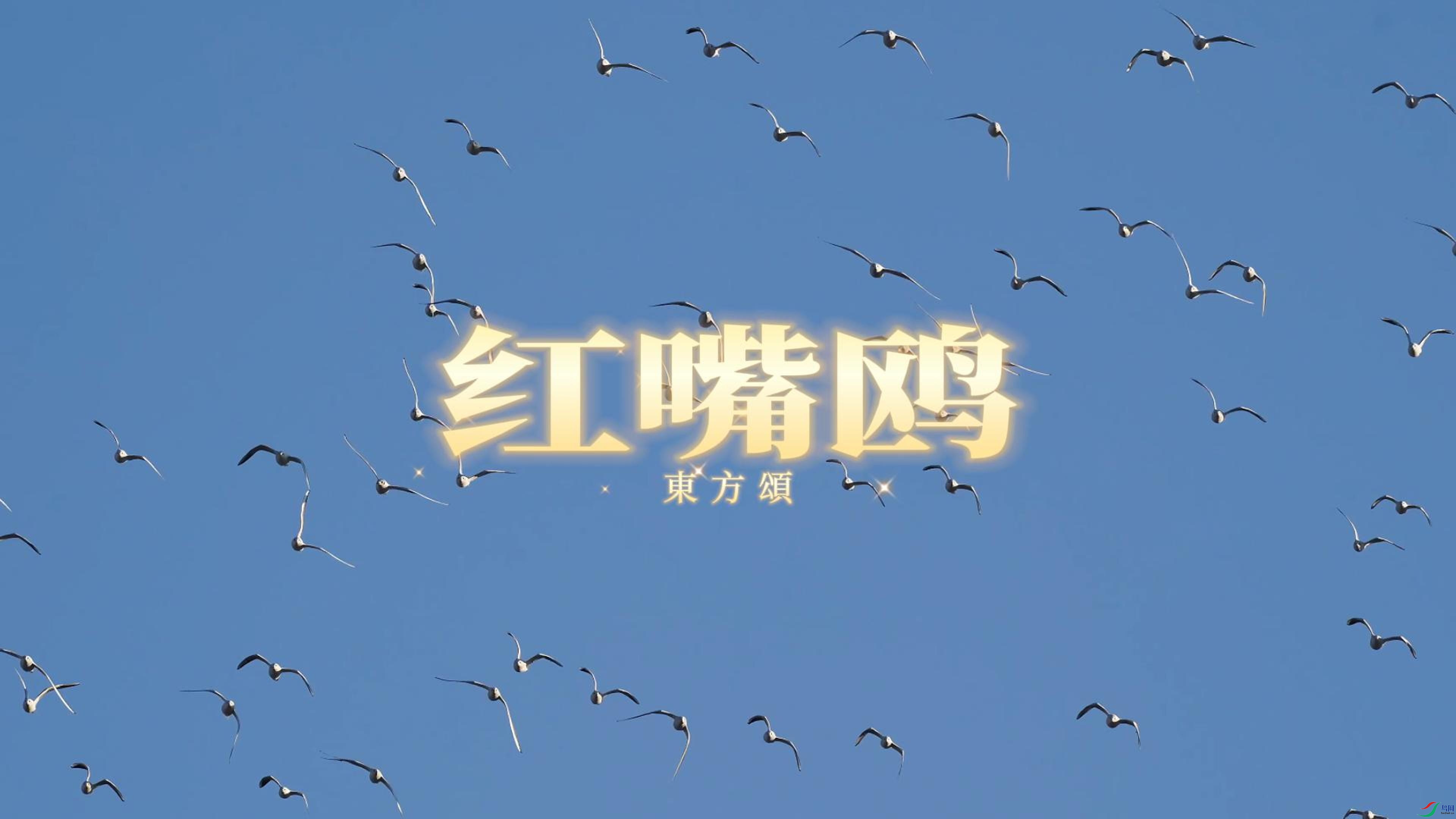 7��21�� (2)-����.jpg