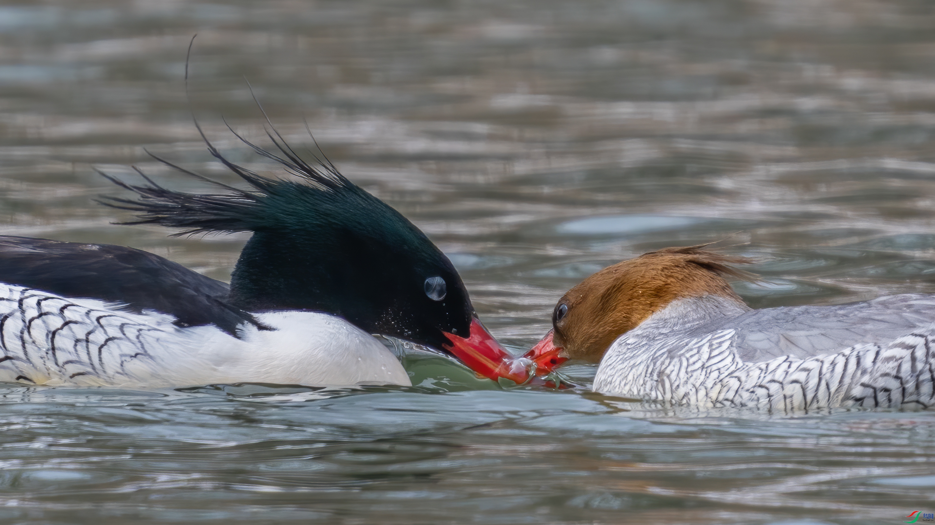 DSC06143 ���� 2.jpg