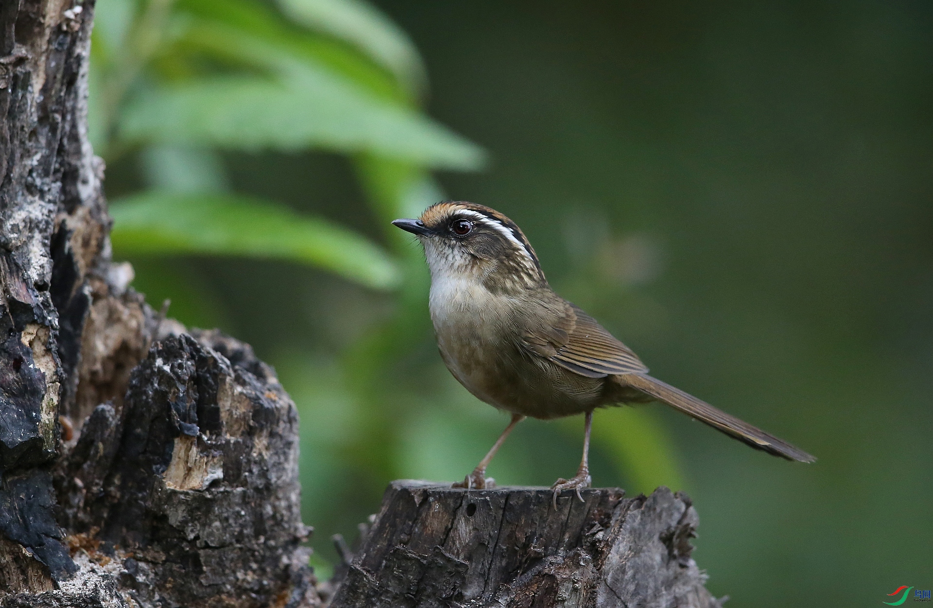 ���� IMGL0783.JPG