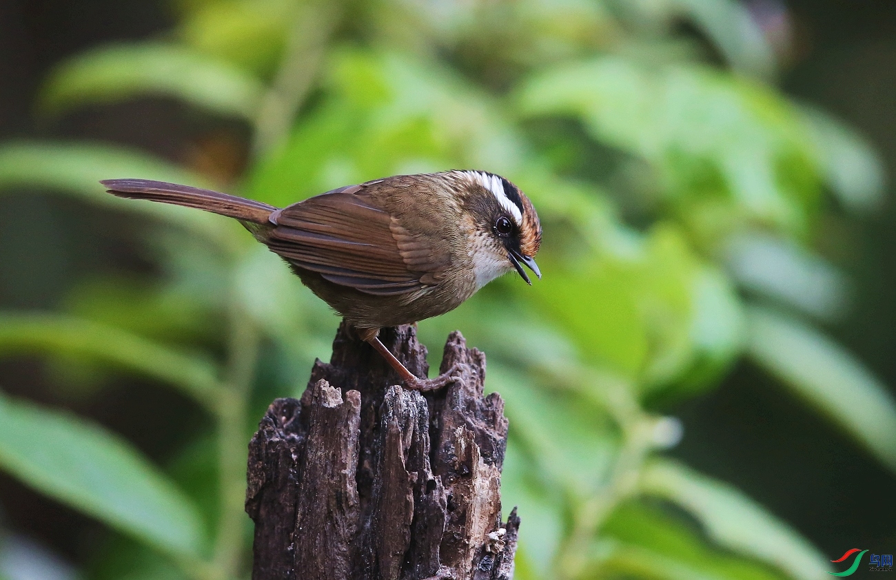 ���� IMGL0785.JPG