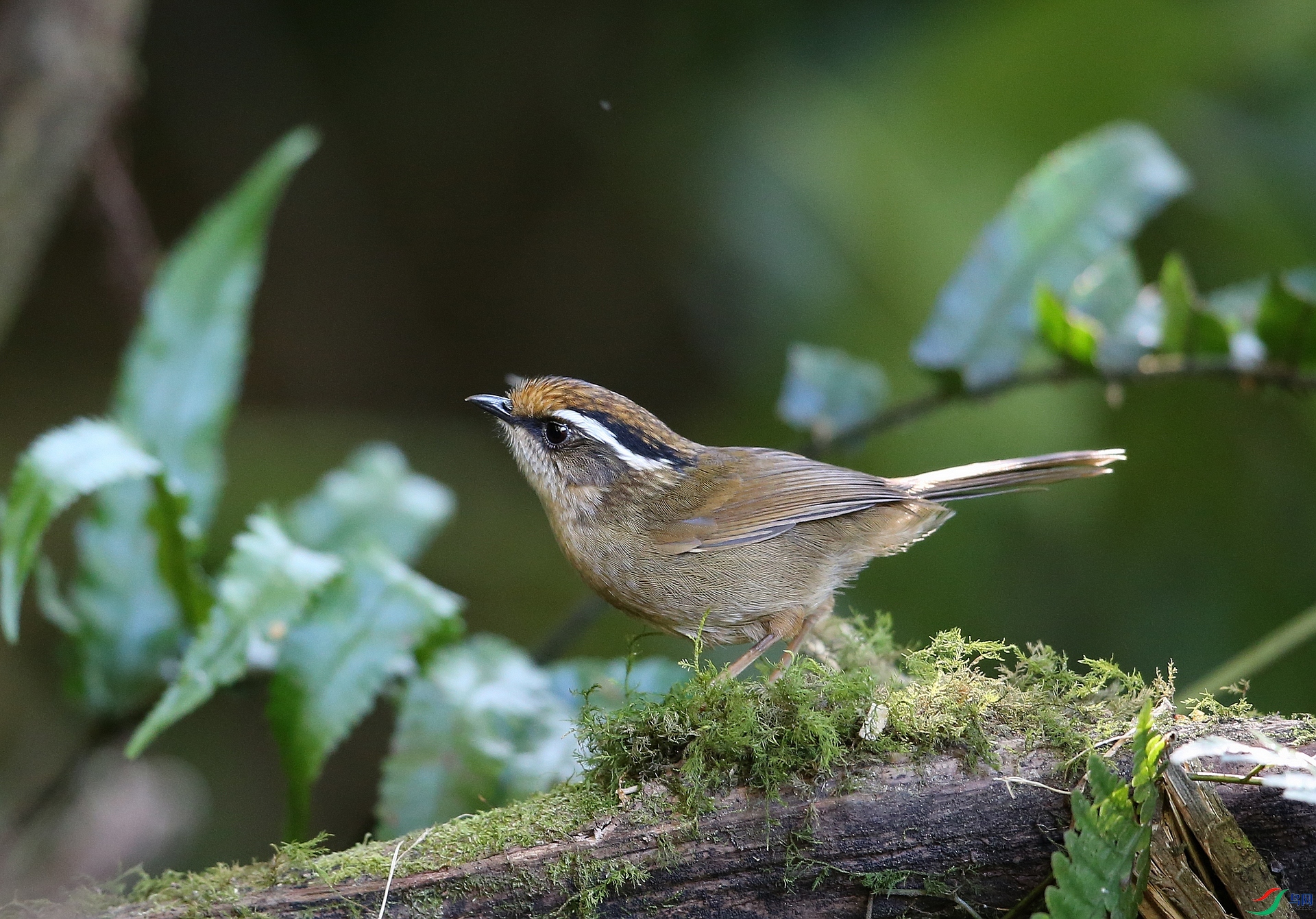 ���� IMGL1499.JPG