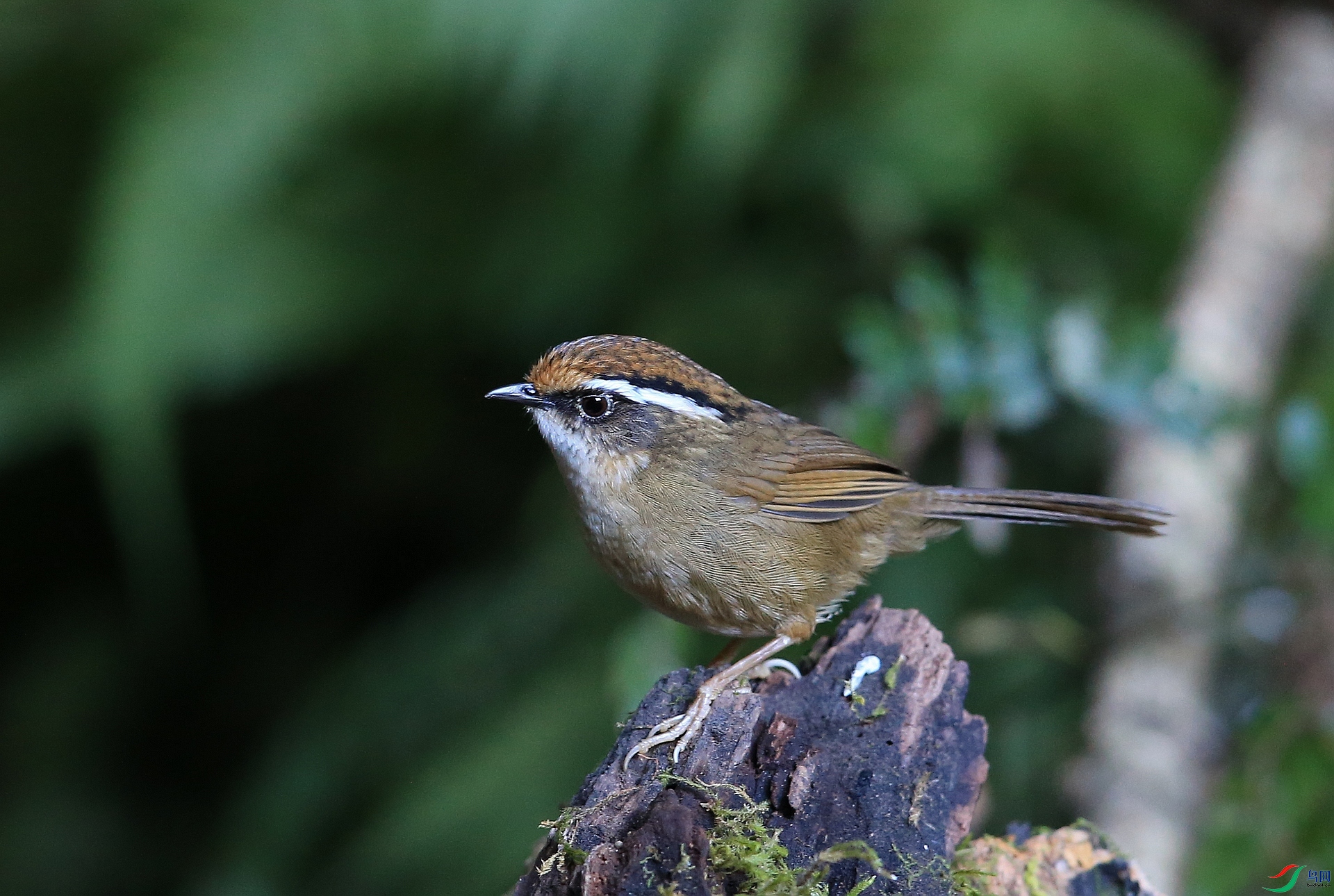 ���� IMGL1878.JPG