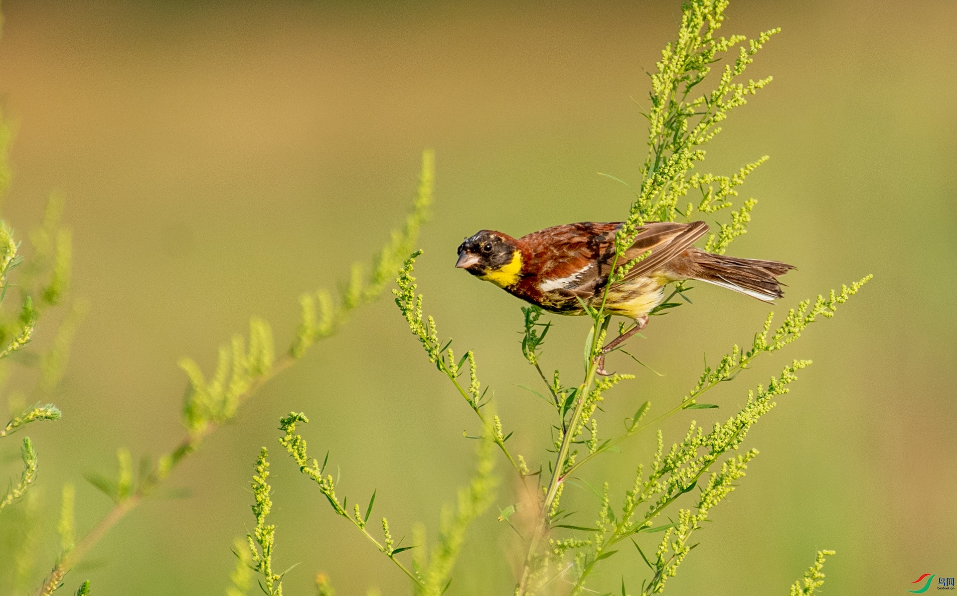 DSC_7920.jpg