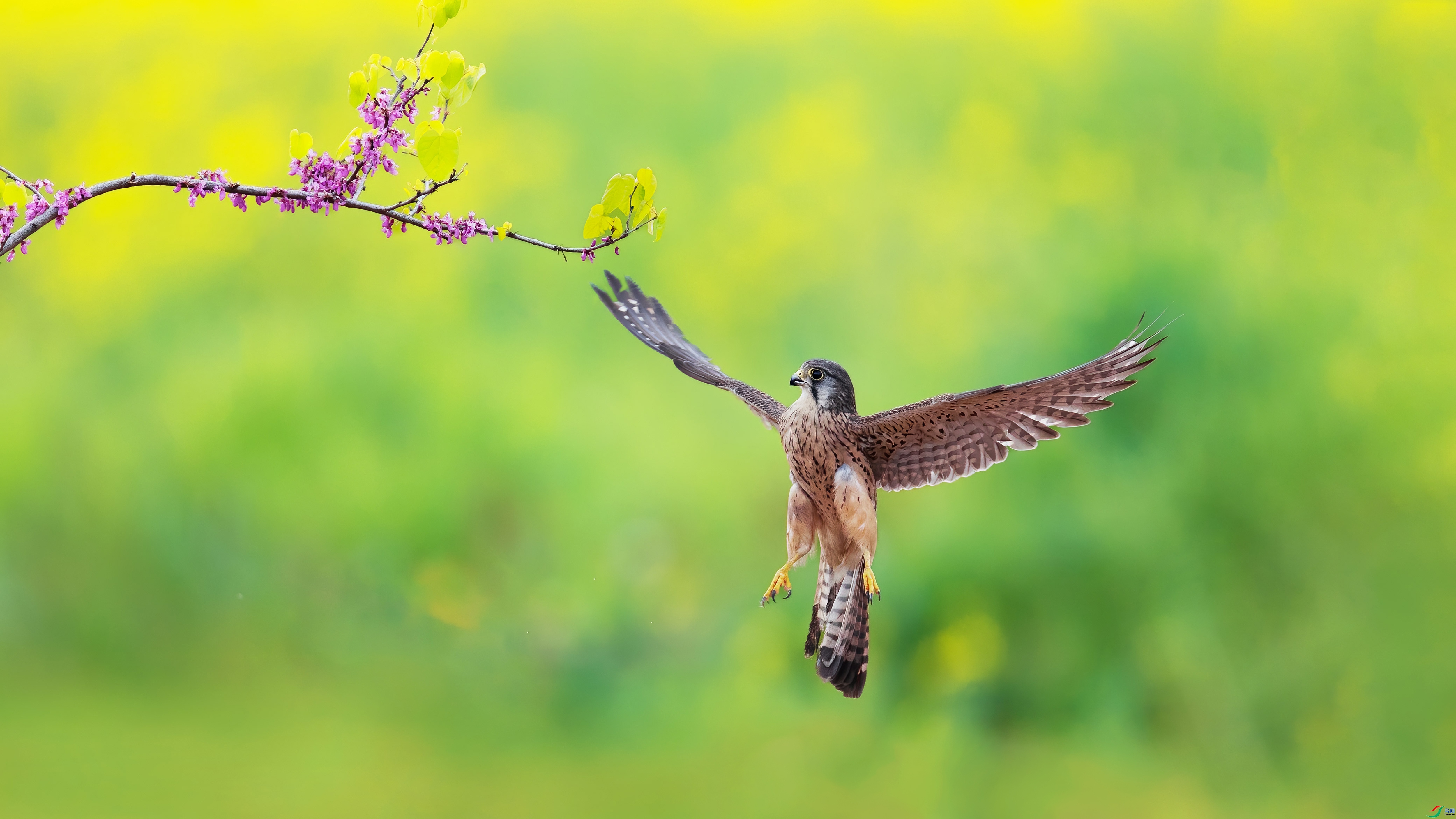 ÿ�ռ��� ��������  ���� С���� ����.jpg