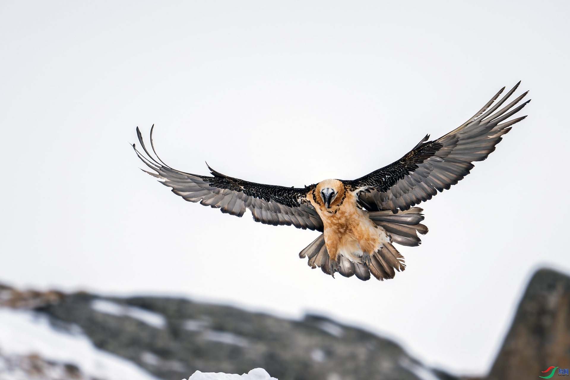 ÿ�ռ���  ������� ���� ��ͤ�� ����.jpg