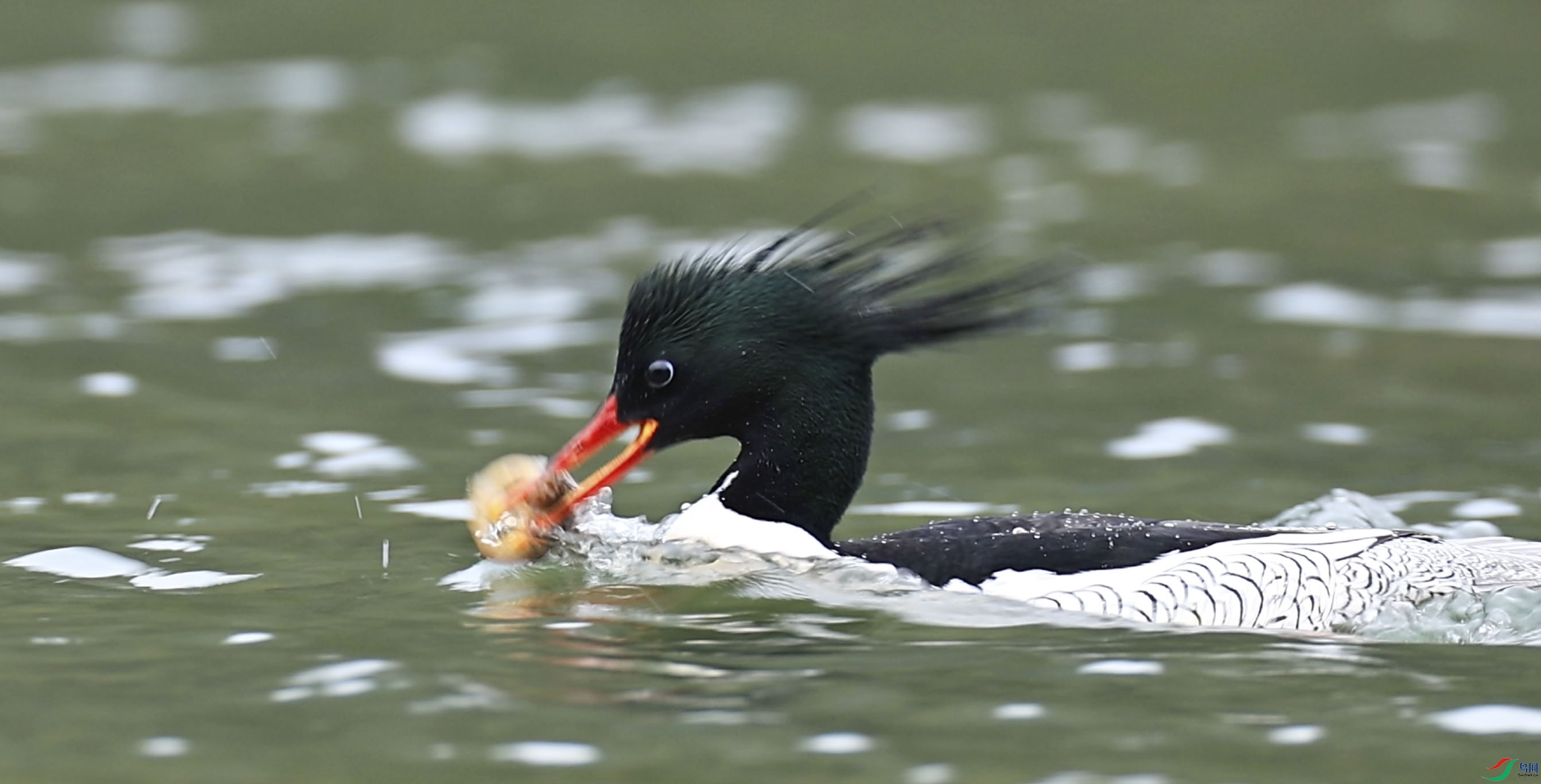 ����2024-07-21 21.09.50.jpg