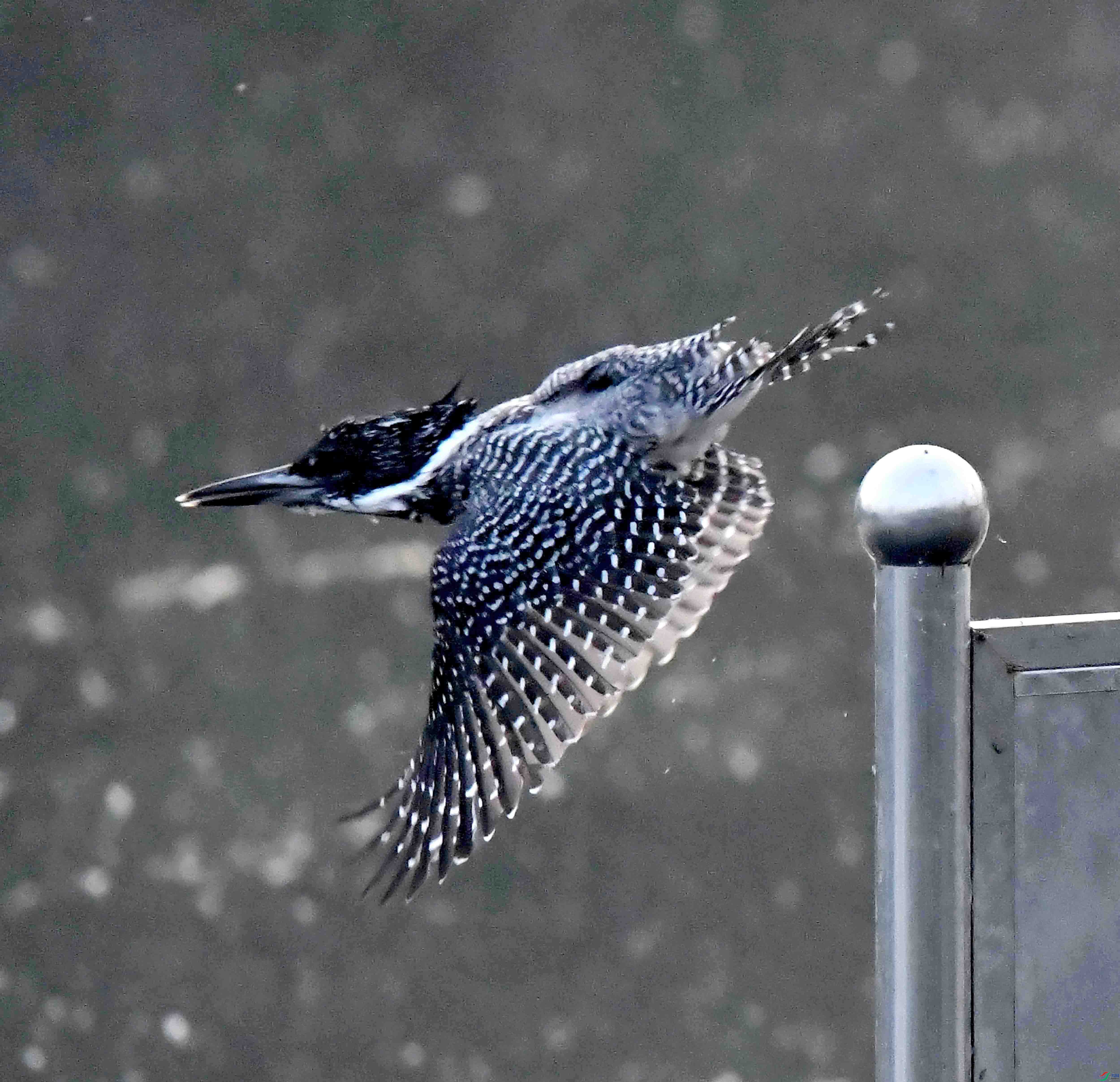 DSC_2150.JPG