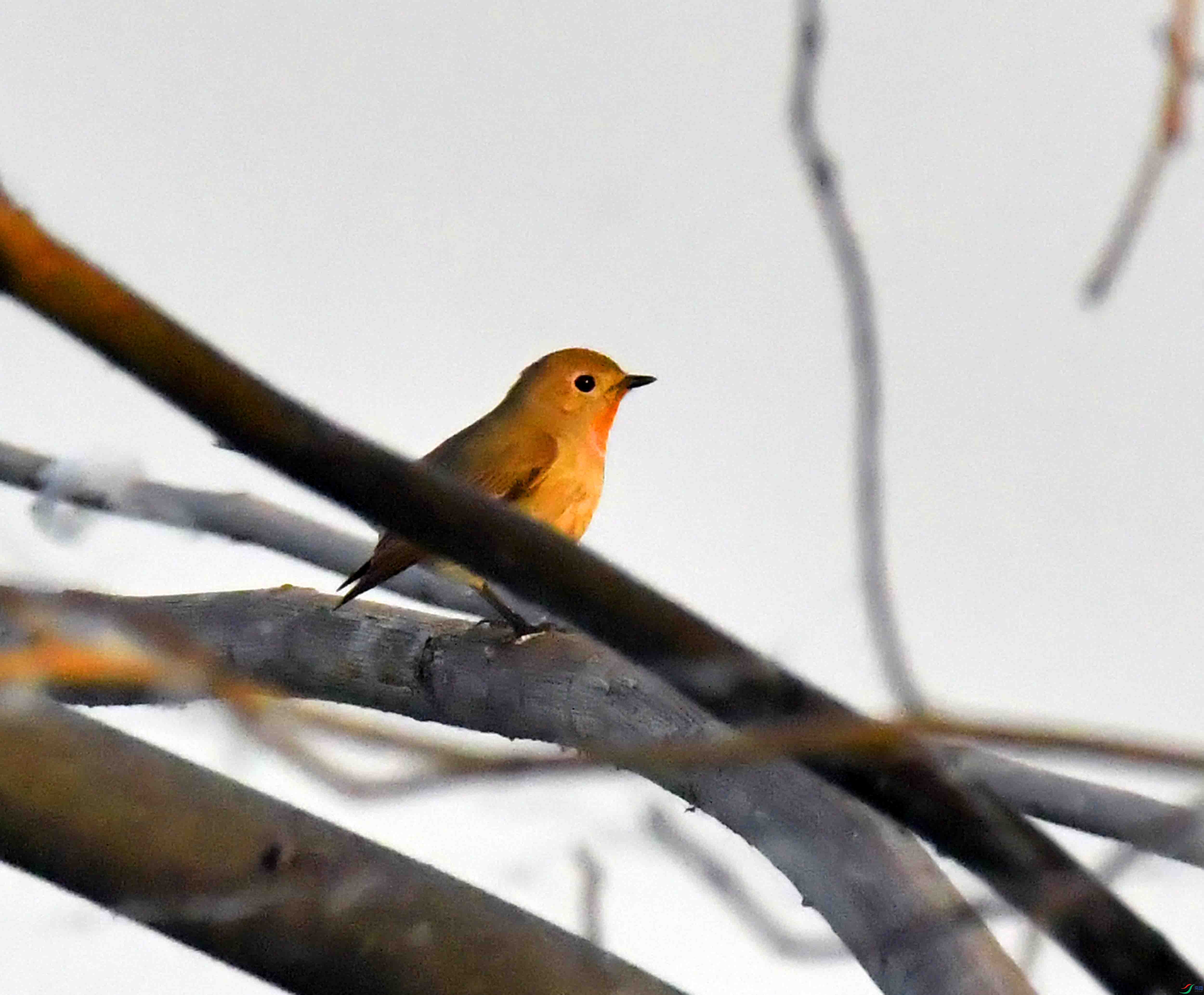 DSC_5629.JPG