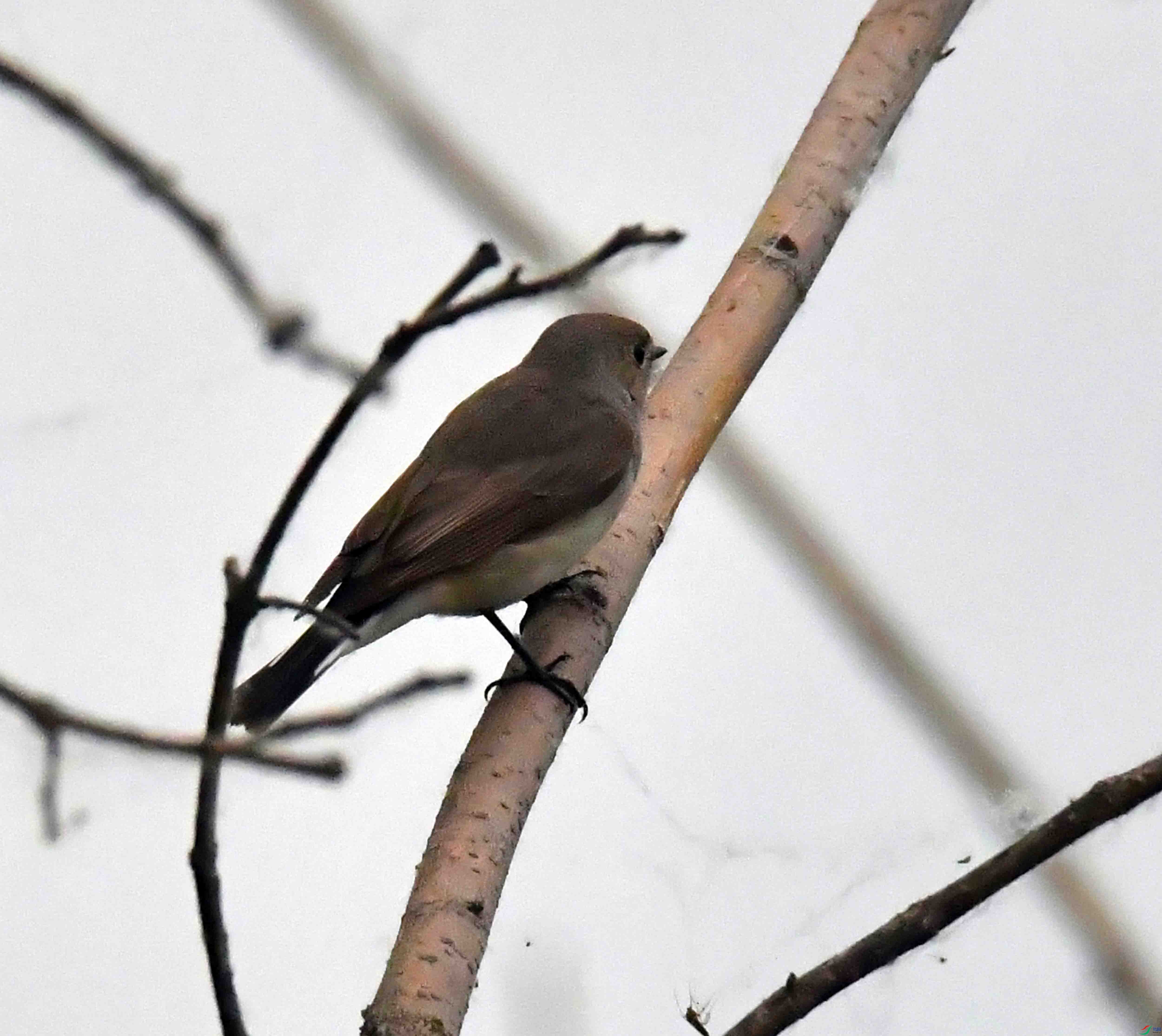 DSC_6909.JPG