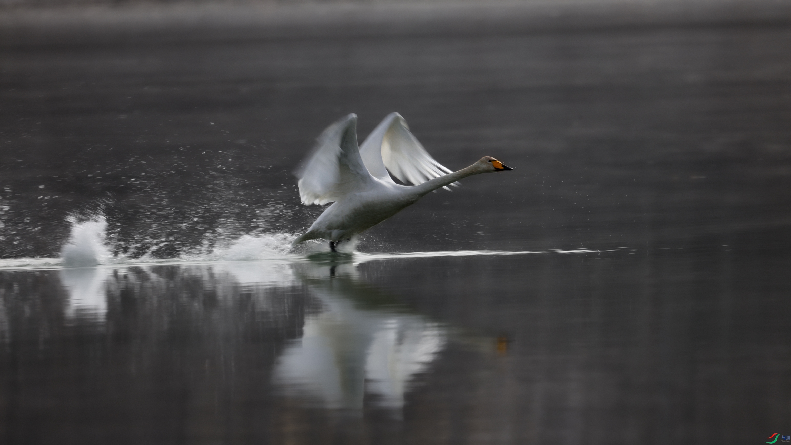 7X5A1079 ����6666.jpg