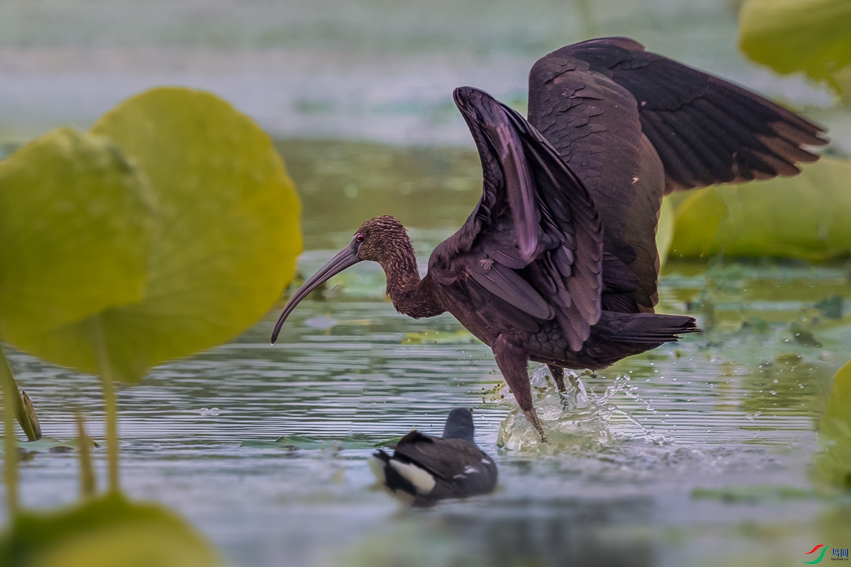 ���q----���ɧ����