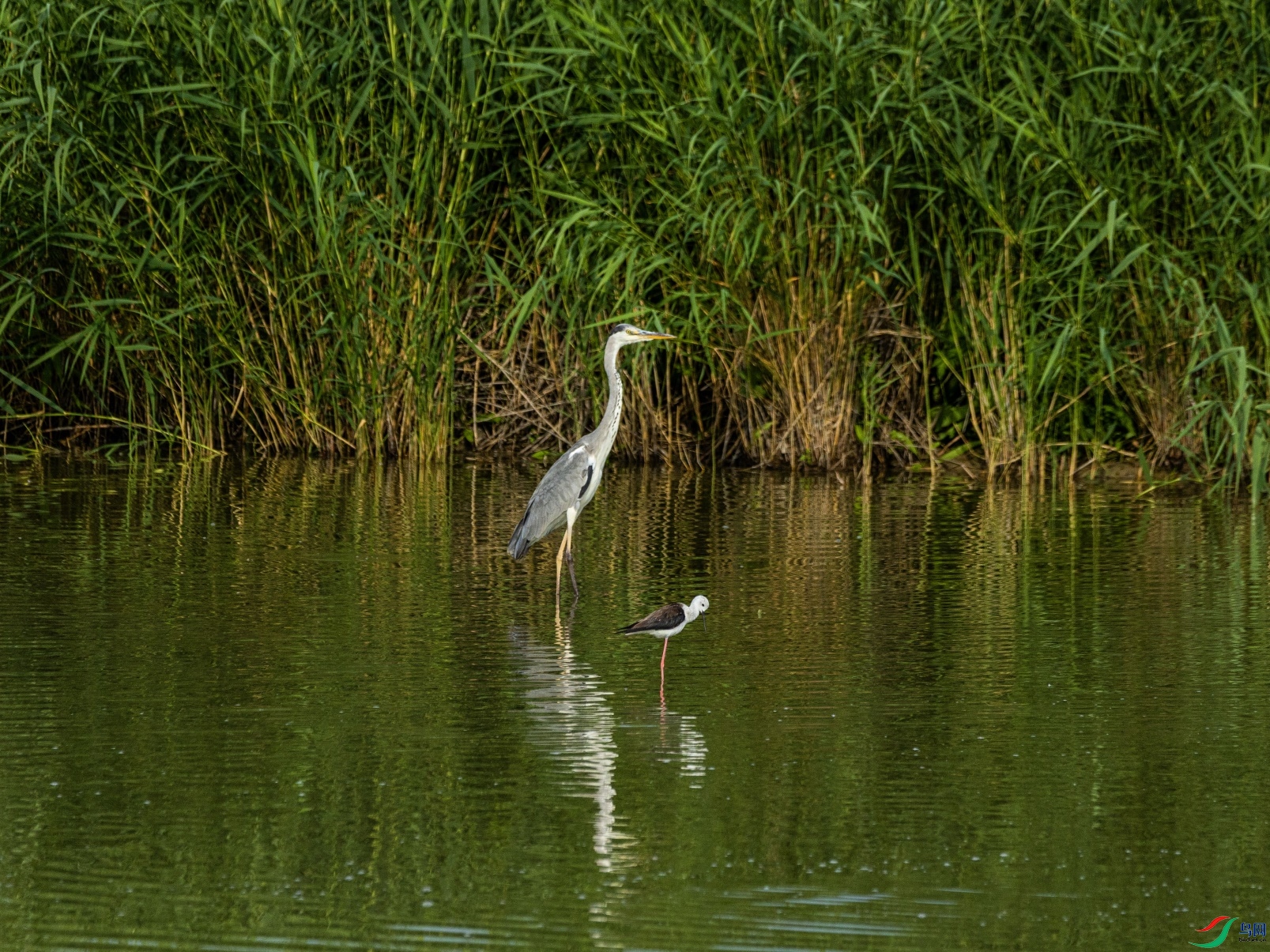 1K3A1588 ����1.jpg