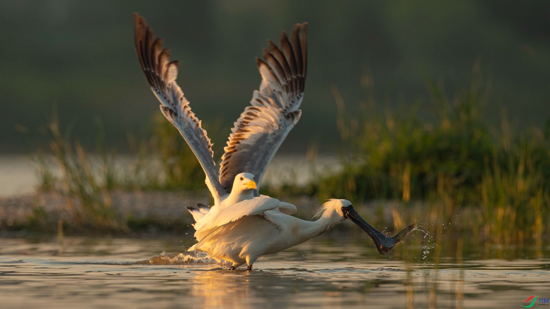 ���� ҹ�� �����ү.jpg