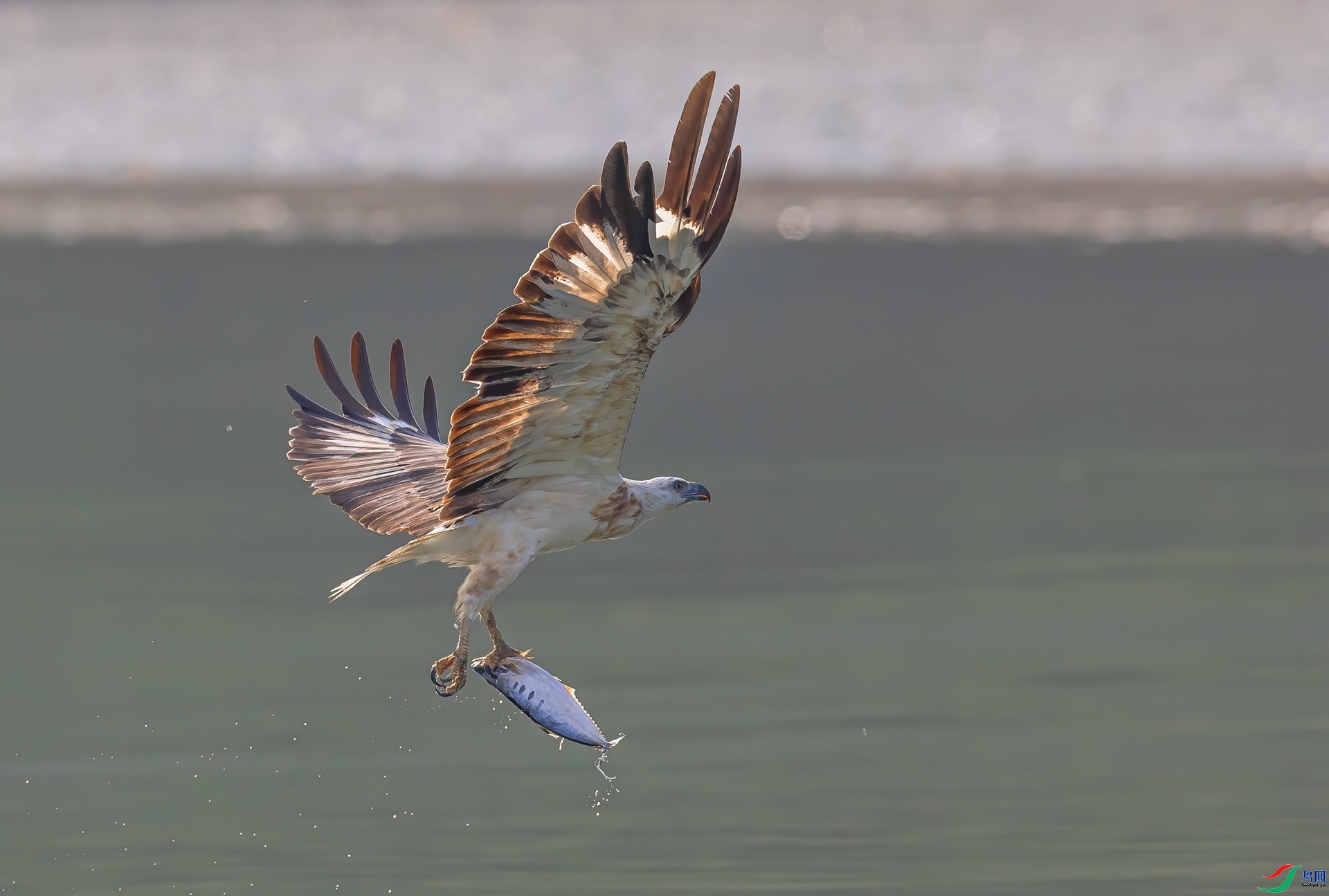 ���ض��� ���� �ܷ� ��һ.jpg