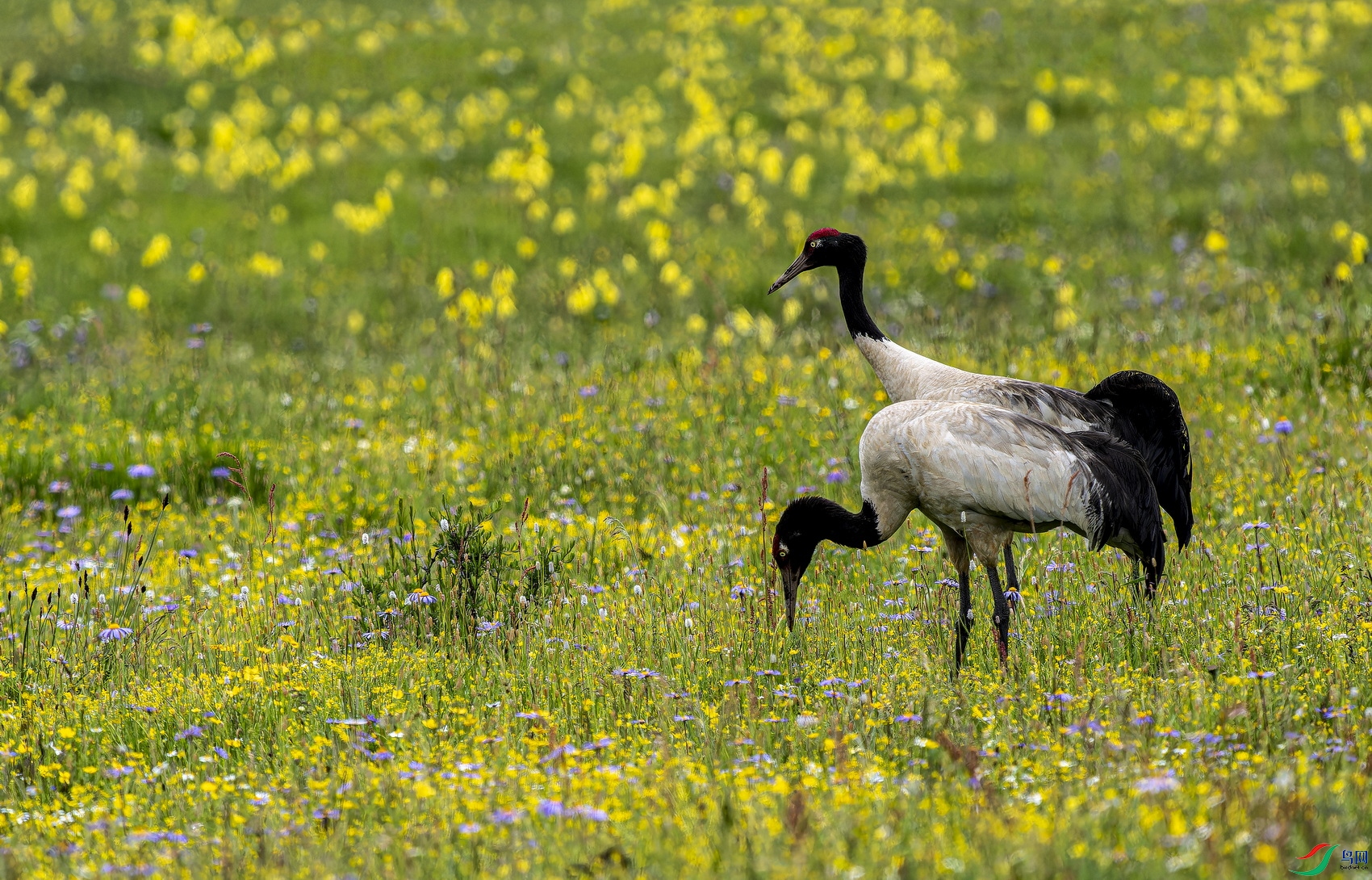 �ھ��ף�2024�� (7064)-1.jpg