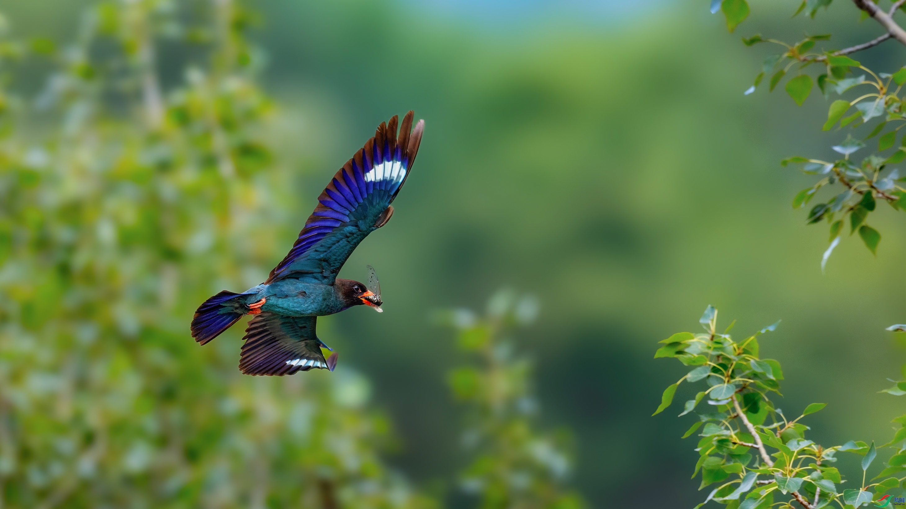 ������ ���� ��־���� �ܶ�.jpg