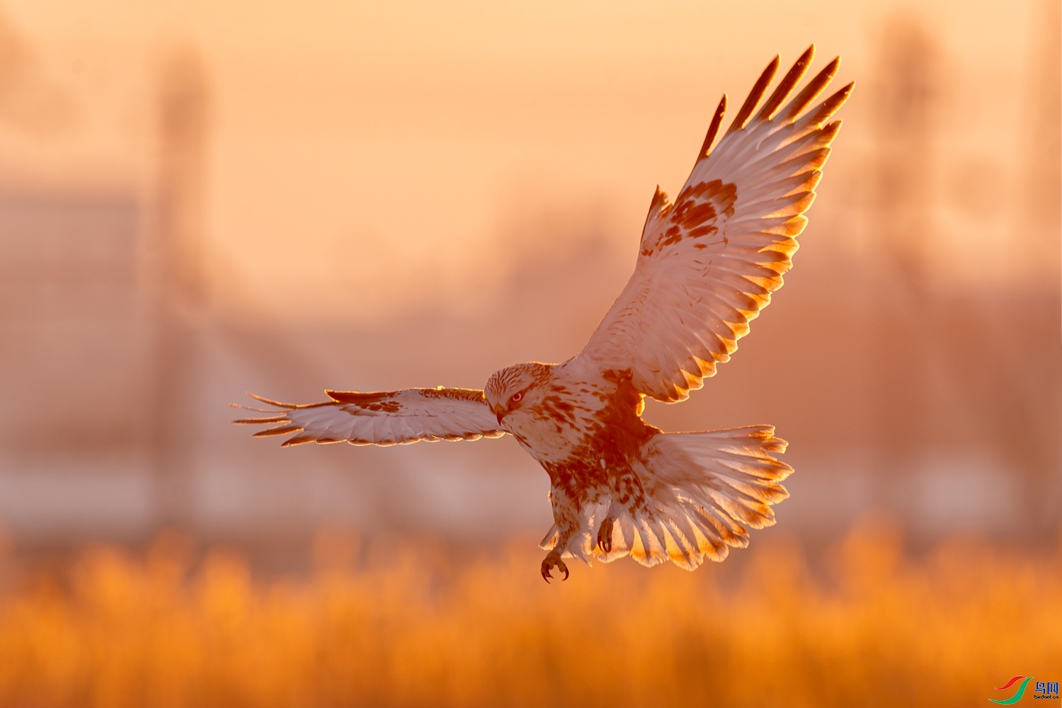 չ�� ���� 0459 ����  �ܶ�.jpg