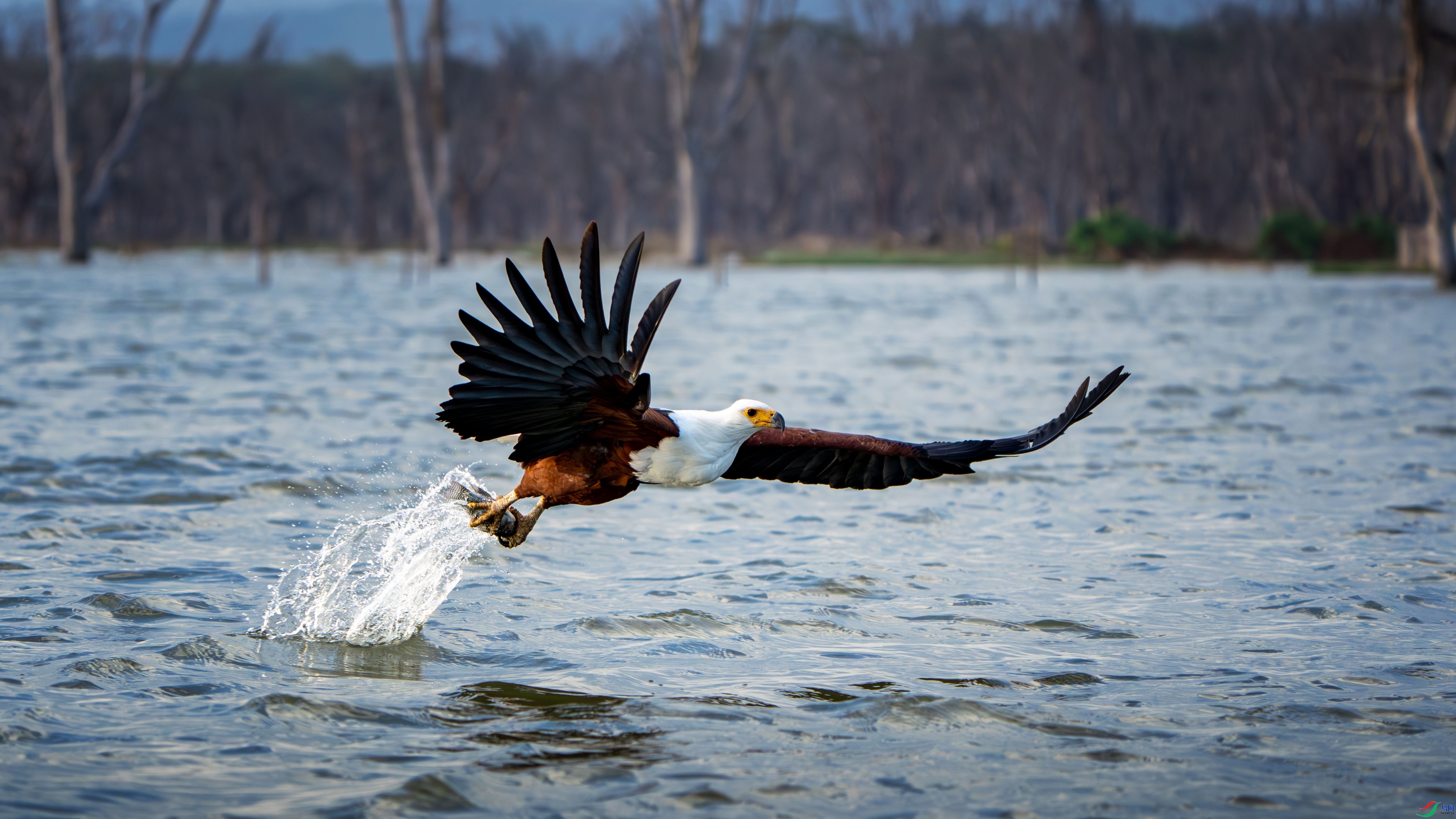 ���޺���ץ��˲�� ���� �������� �ܶ�.jpg