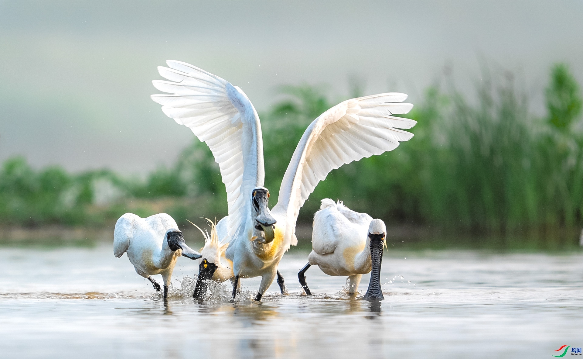 �������� ���� ����ʽ �ܶ�.jpeg