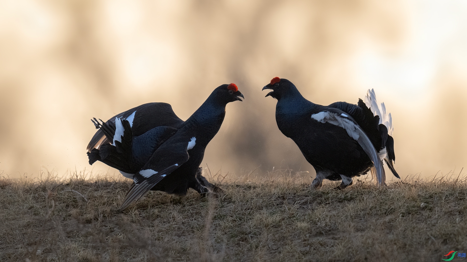 ���� ���� ���� ����.jpg