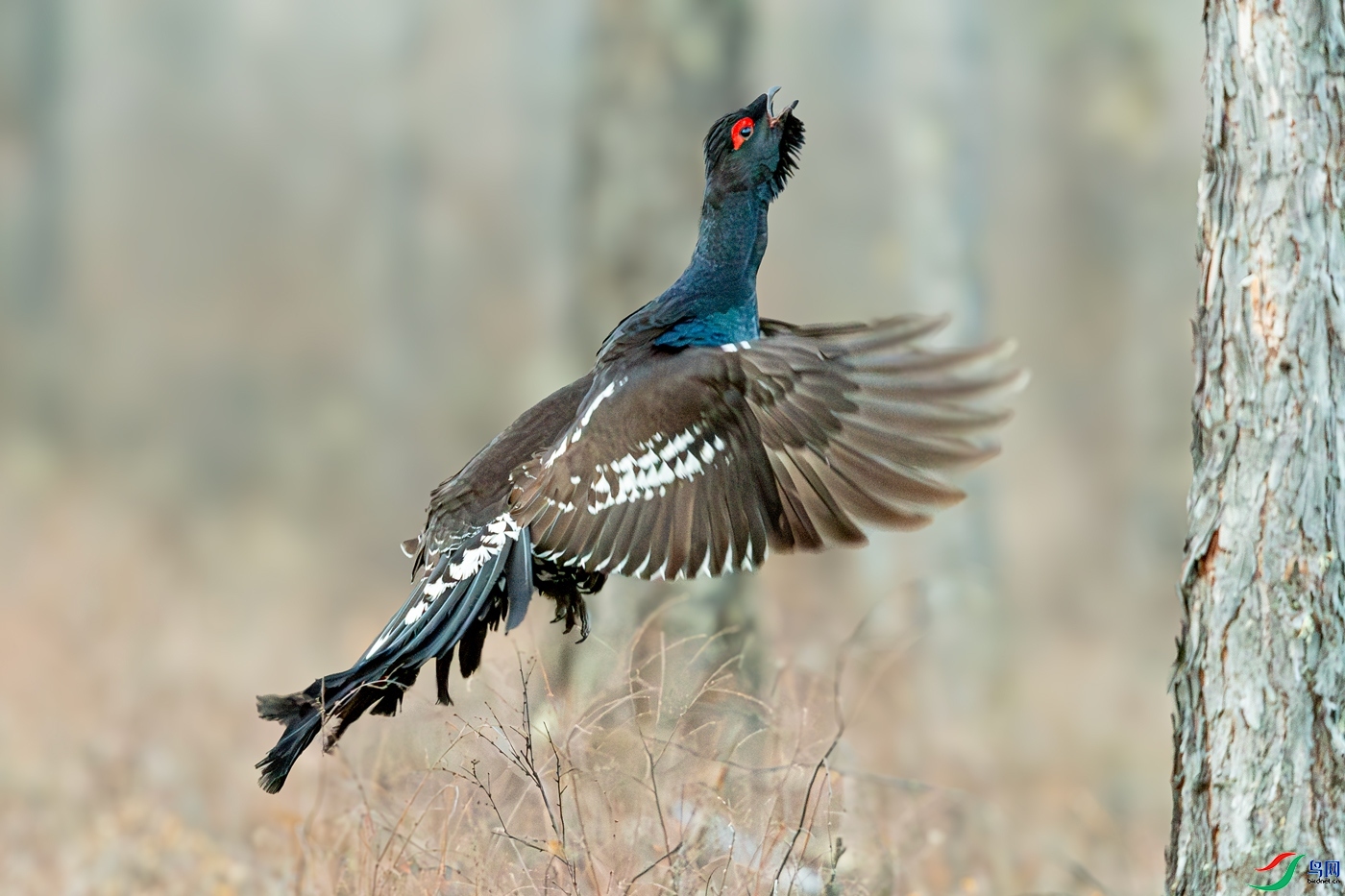 ���� ���� 0459 ����  ����.jpg