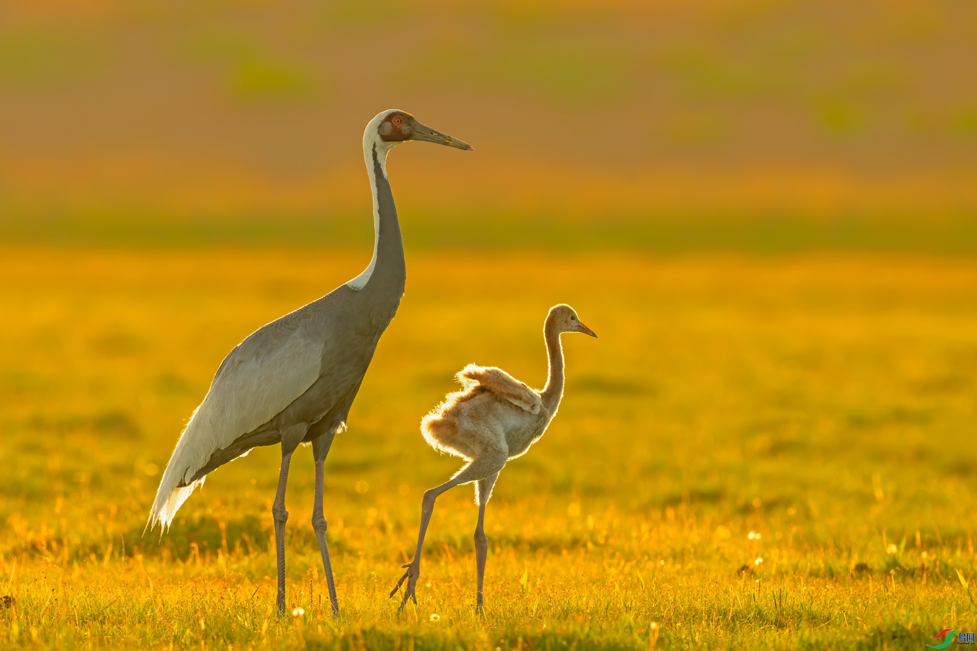 ������ĸ�����Ļƻ� ���� �Ű� ����.jpg