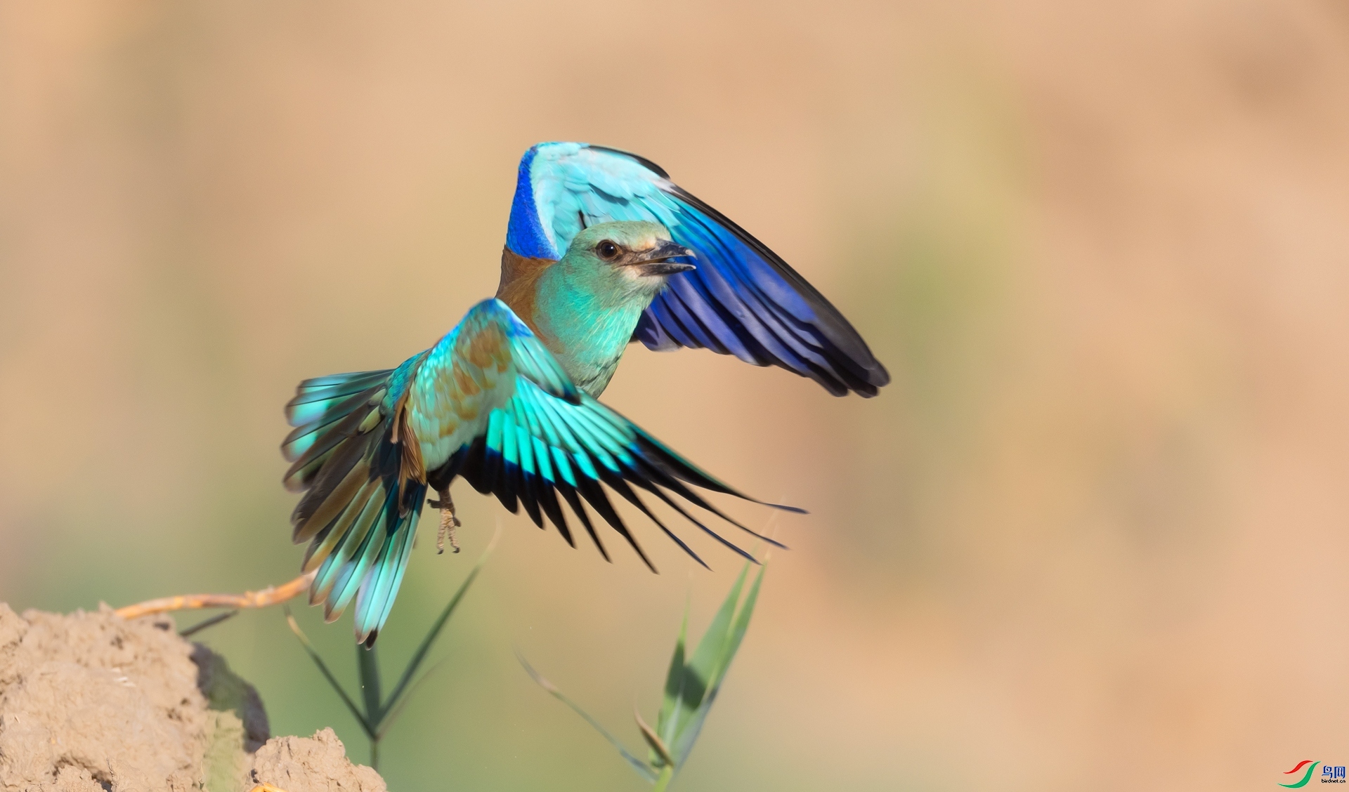 ���ط�ɮ ���� �ܷ� ����.jpg