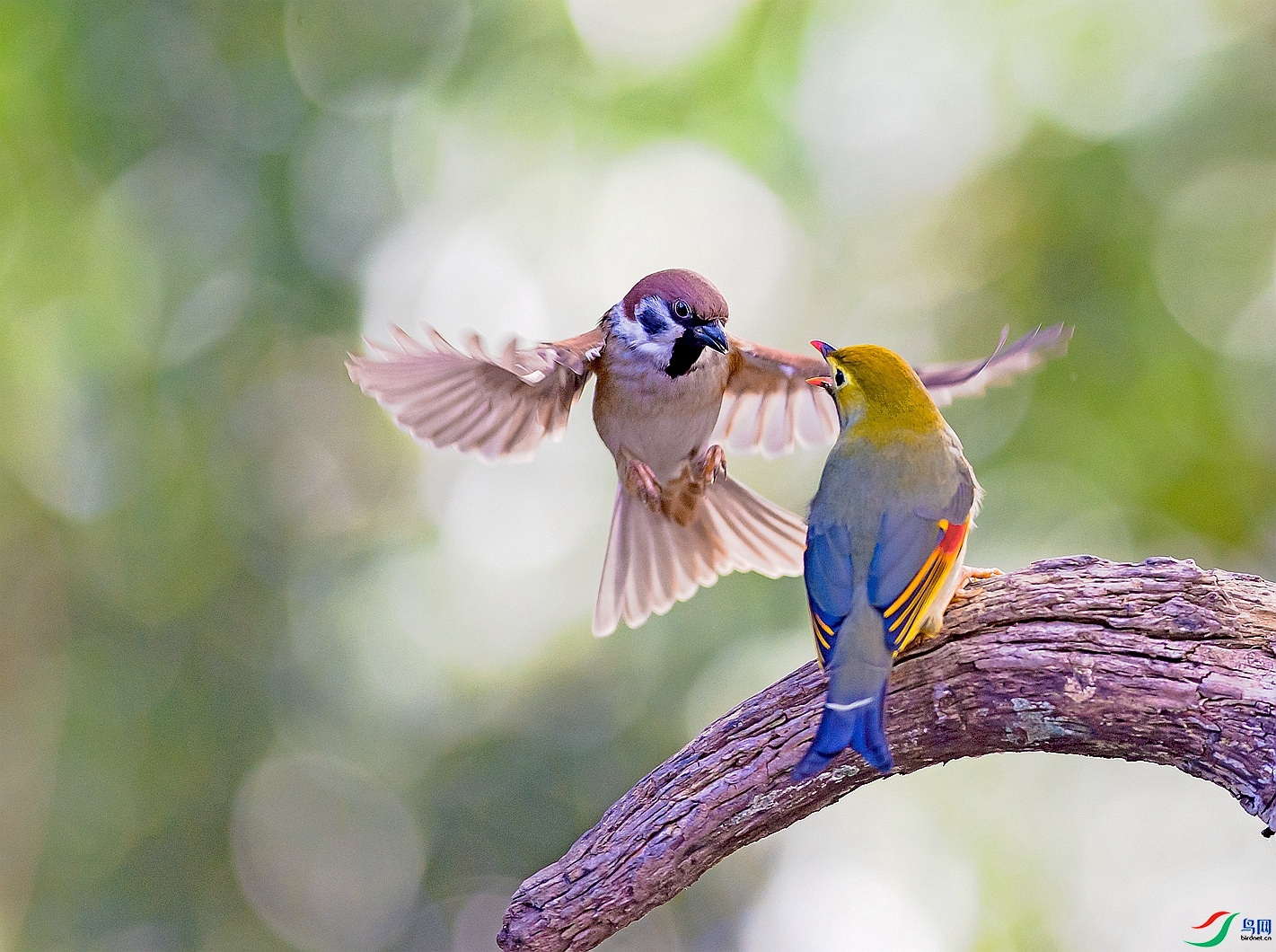 ��λ  ���� ������ ����.jpg