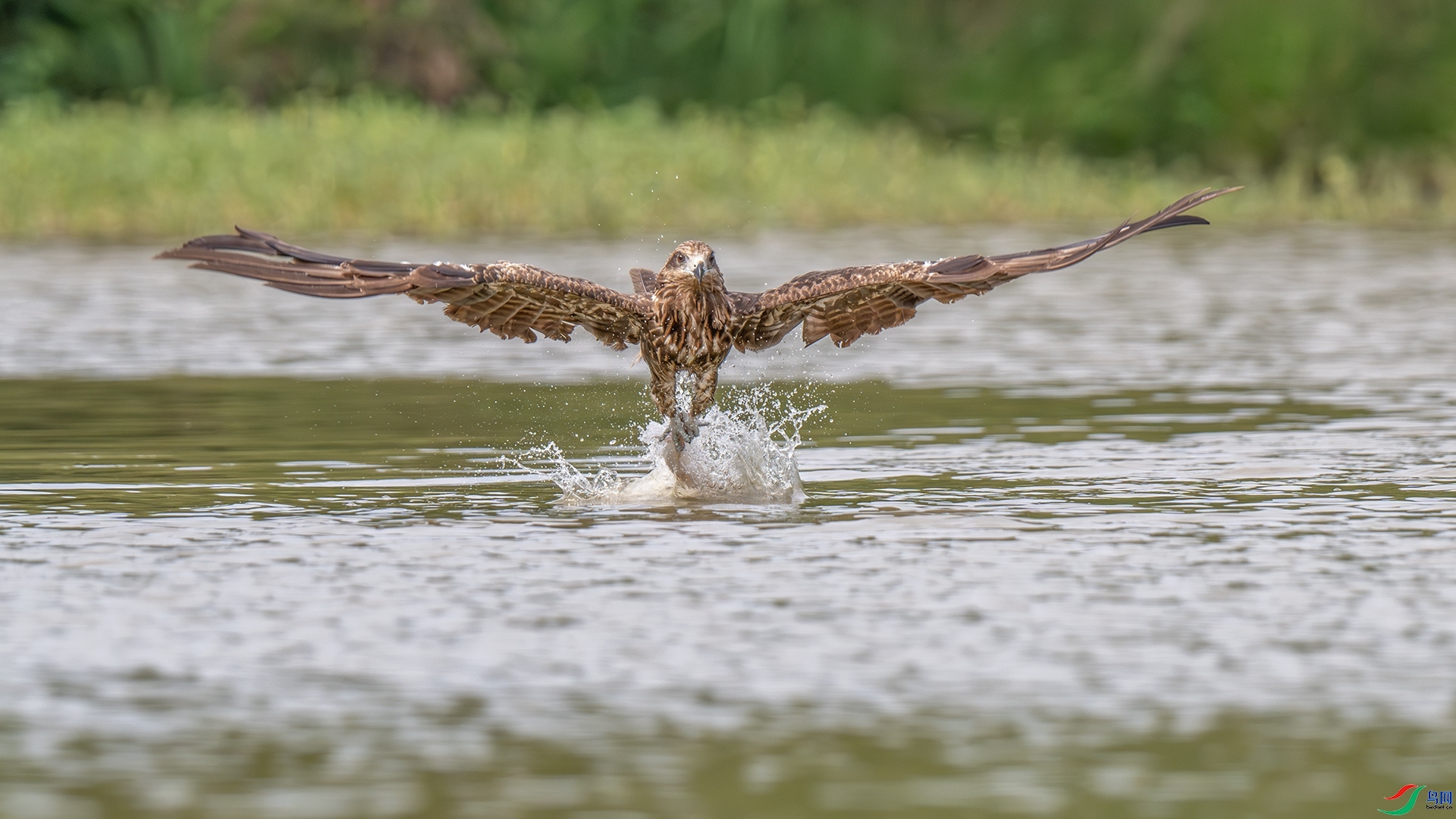 ���ץ�� ���� ��ѧ�� ����.jpg