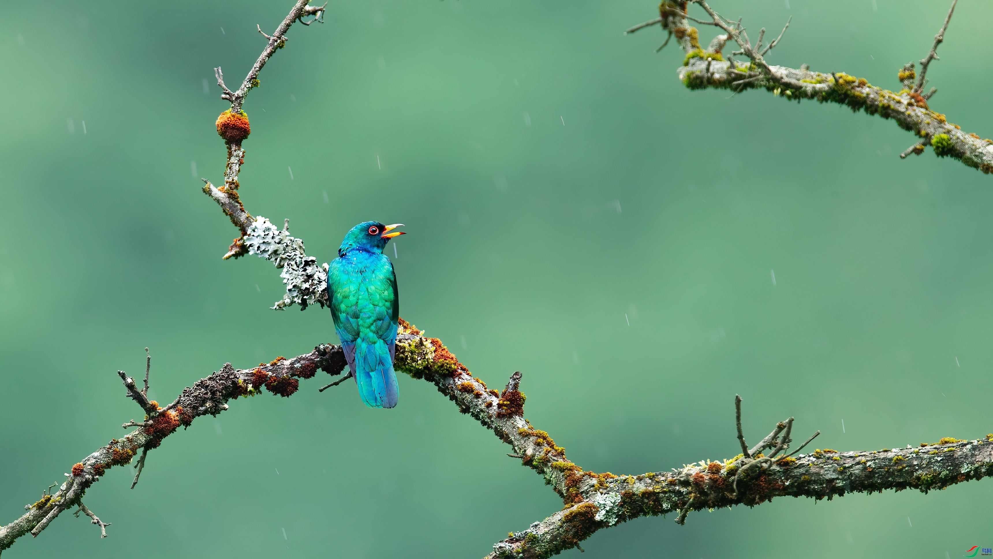 ���ж��� ���� С���� ����.jpg