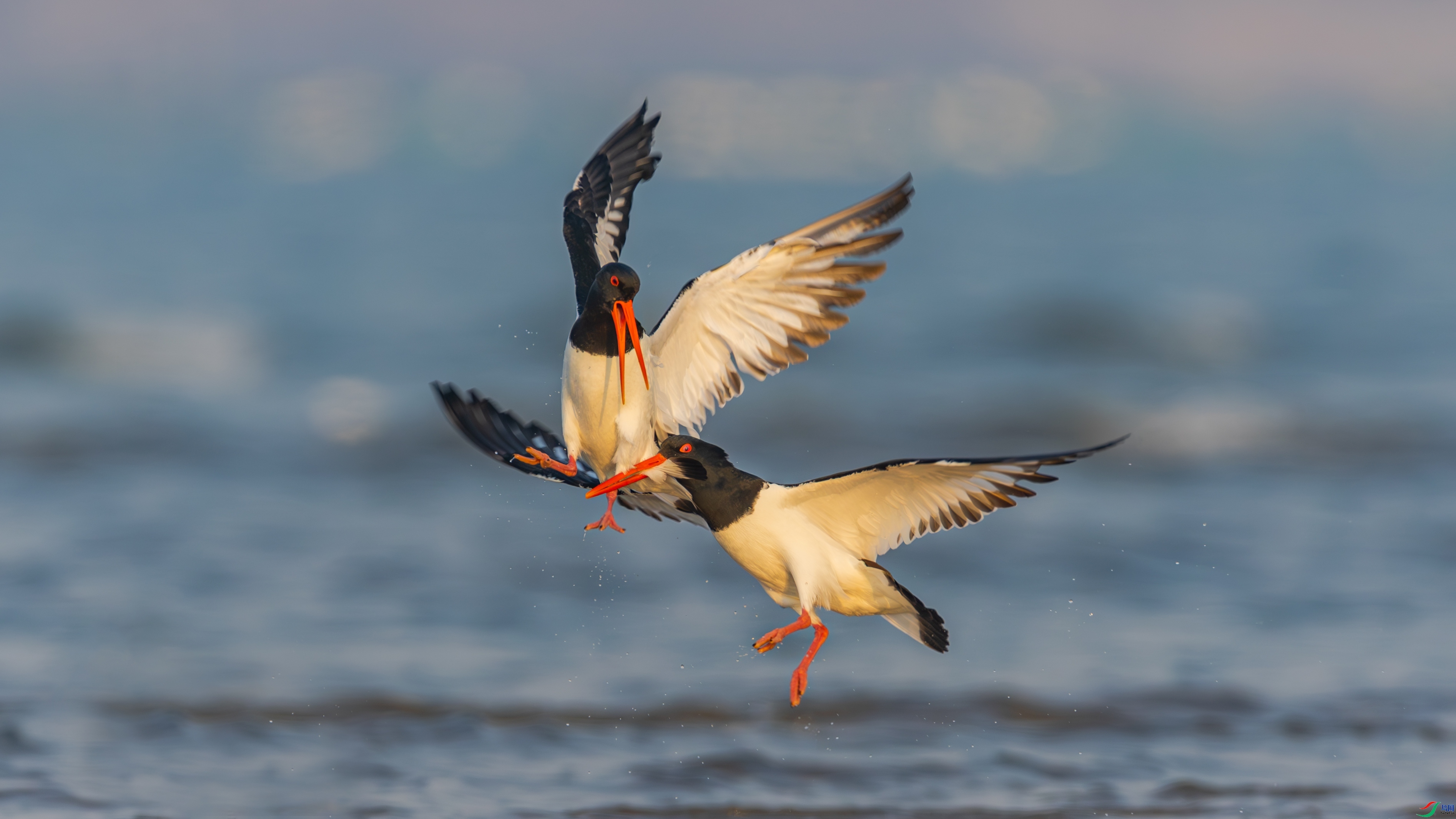 ���� ���� �䱾���� ����.jpg