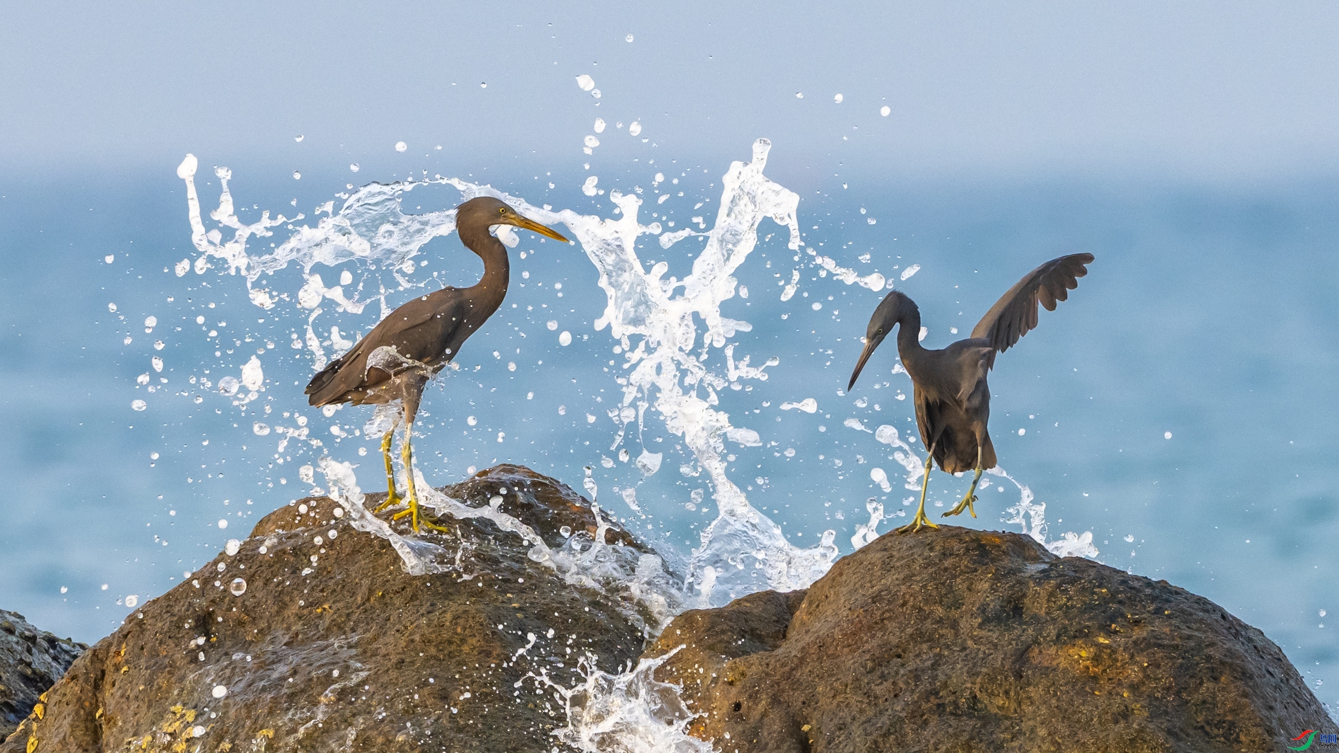 �������� ���� ������ͷ ����.jpg