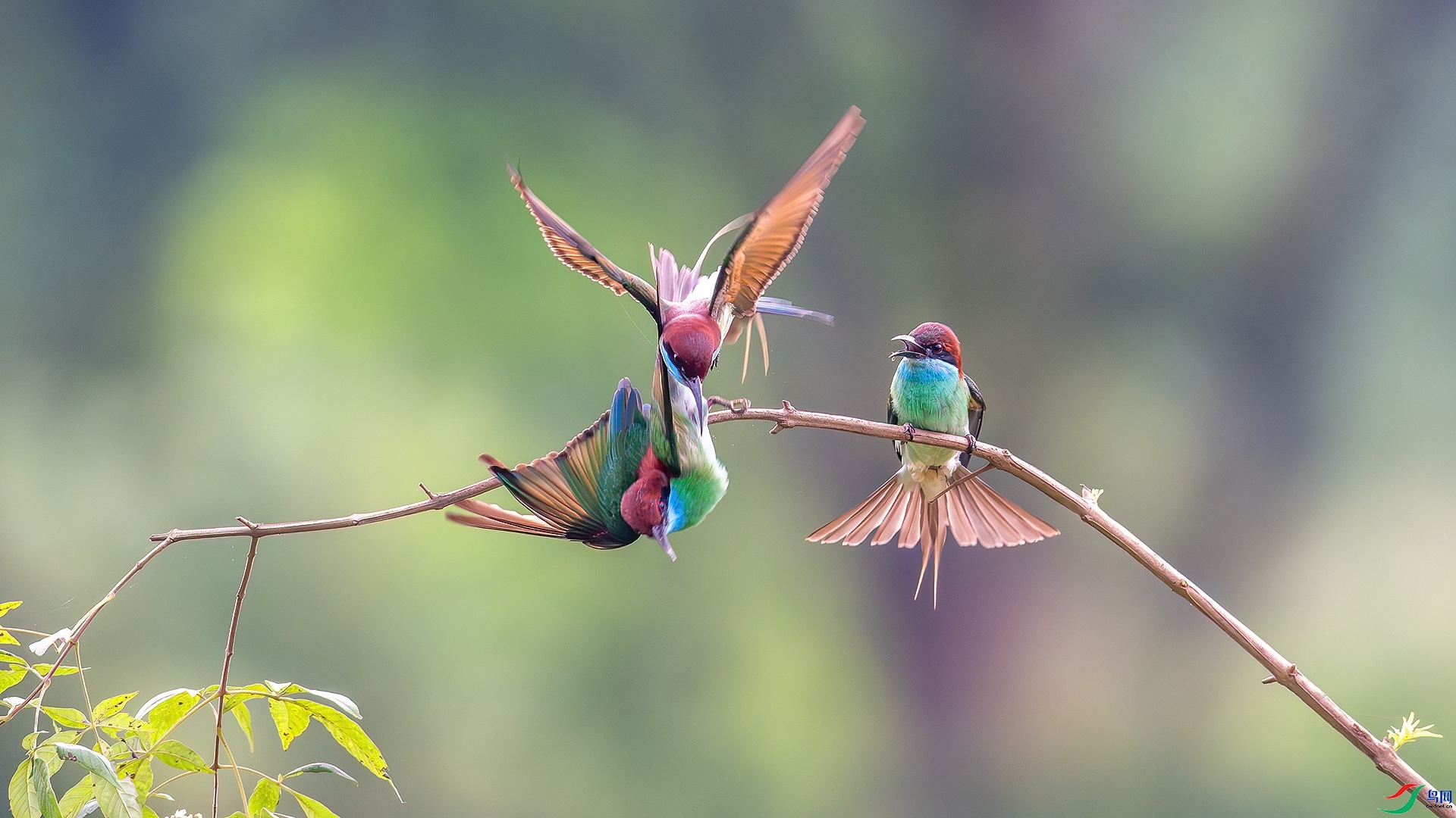 �����仢�� ���� ��ѧ�� ����.jpg