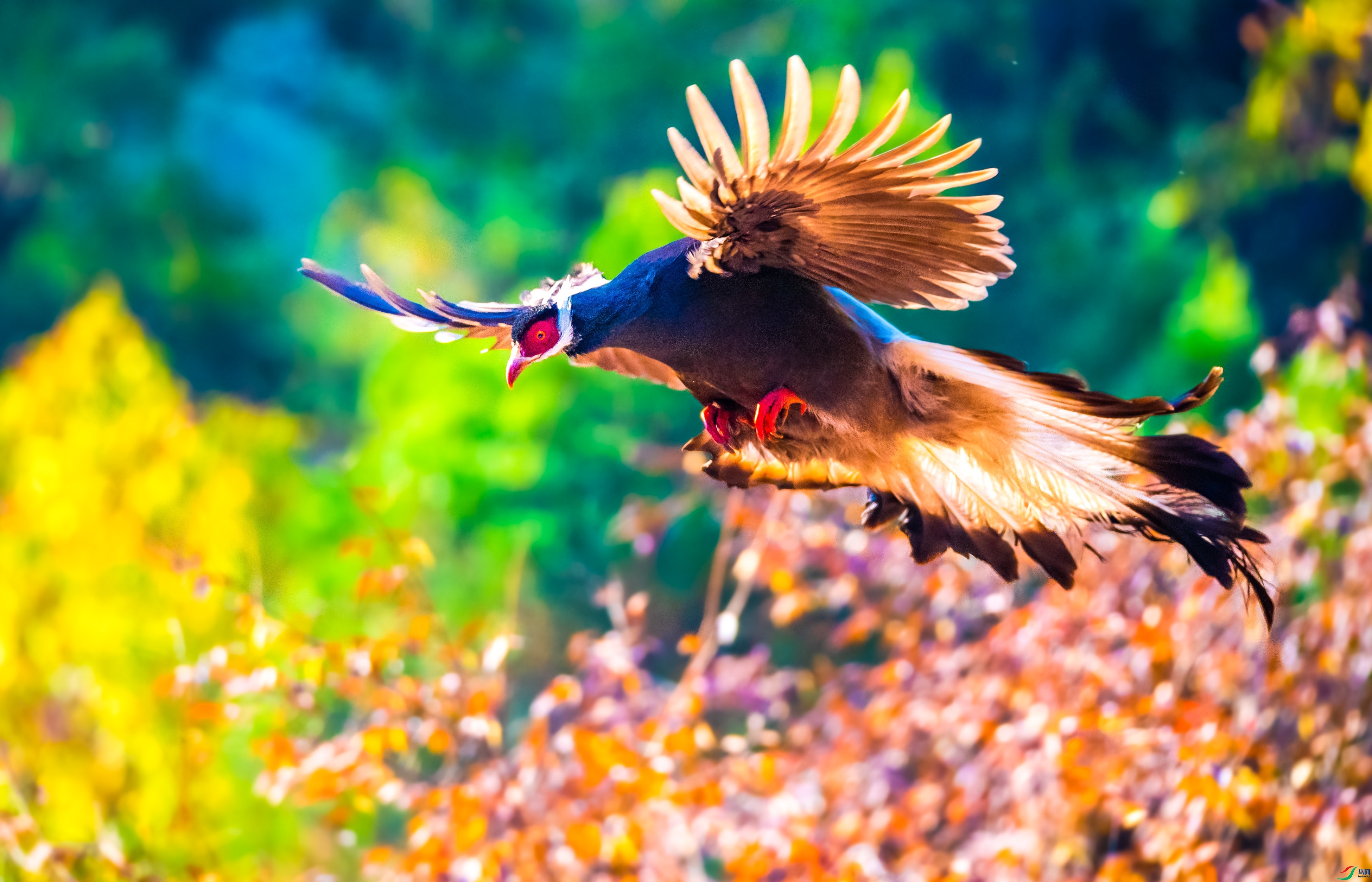 ƮȻ���� ���� ��������bj ����.jpg