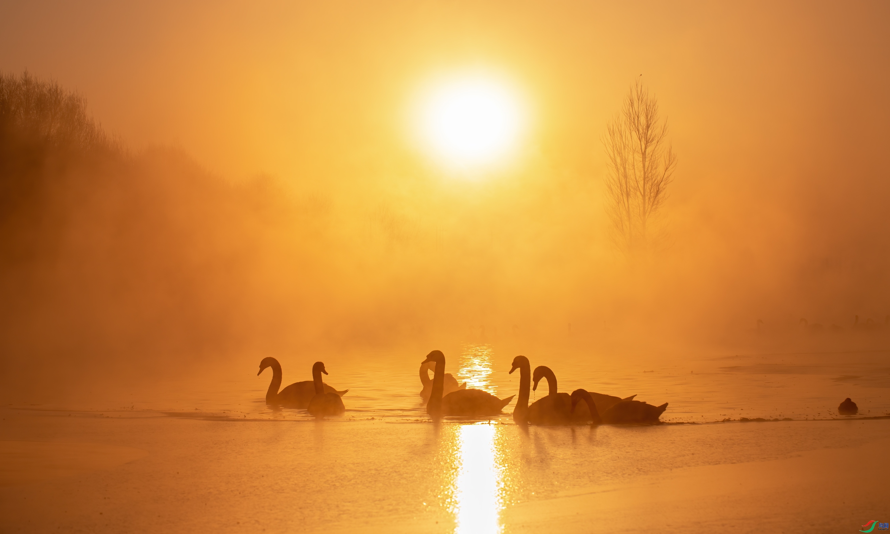 ӭ�ӳ���  ���� ��Ͽ֮�� ����.jpg