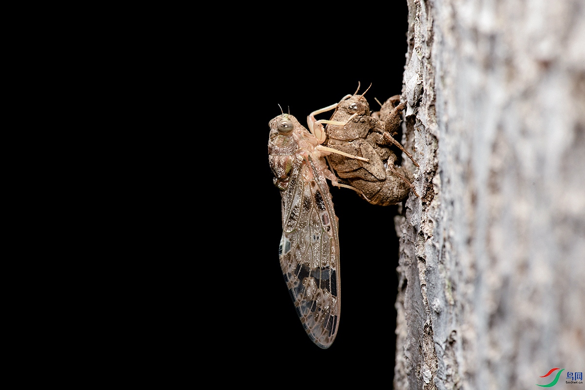 DSC_7227-.jpg
