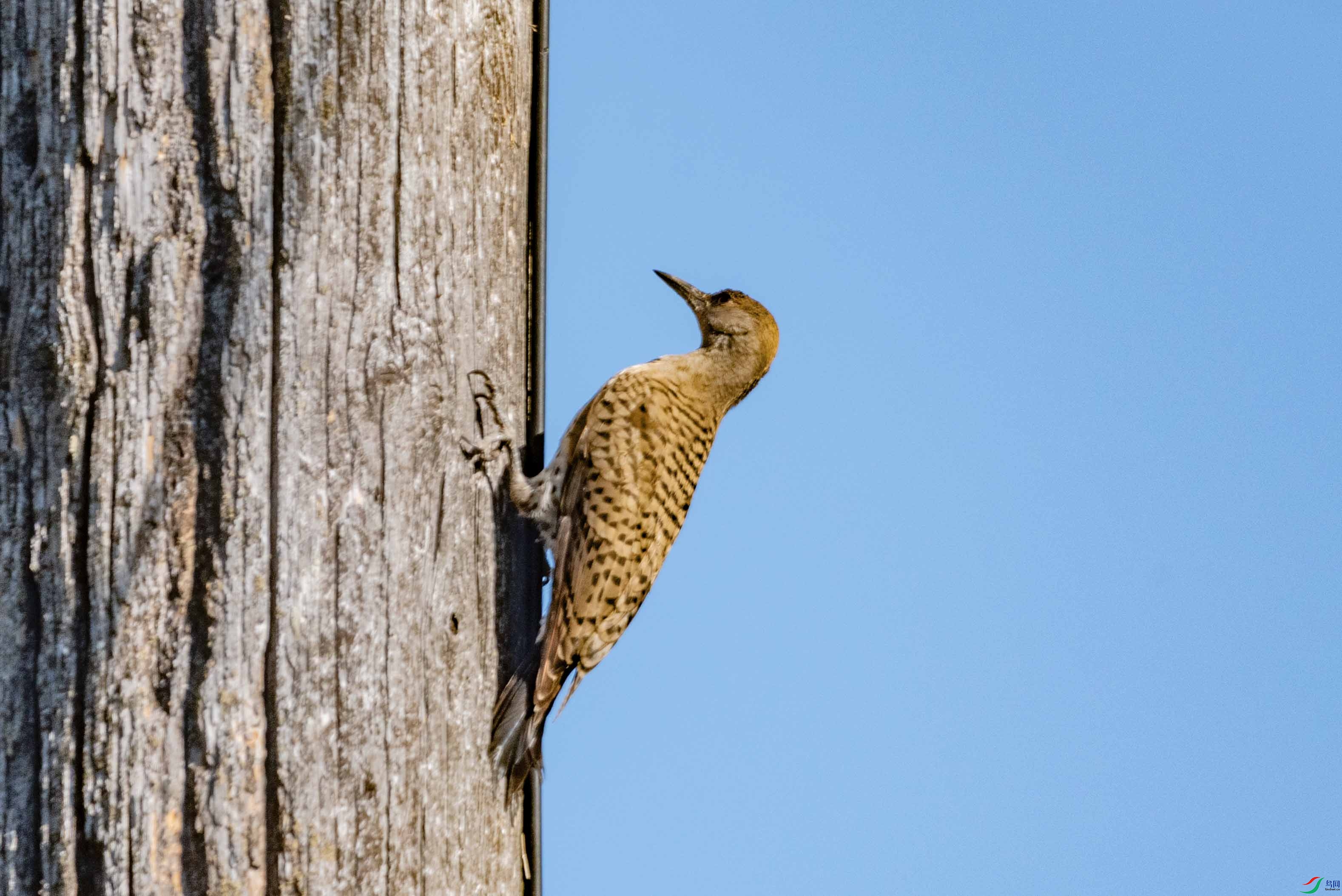 DSC_8911 ����2.jpg