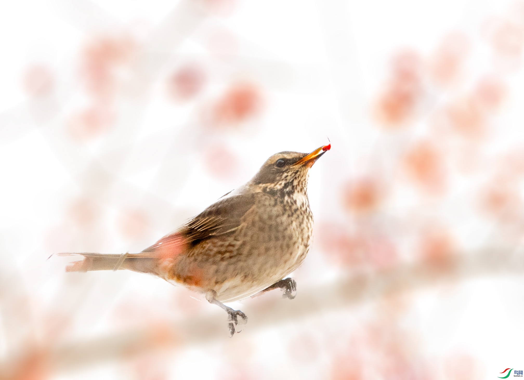 BW1I3133 ����.jpg