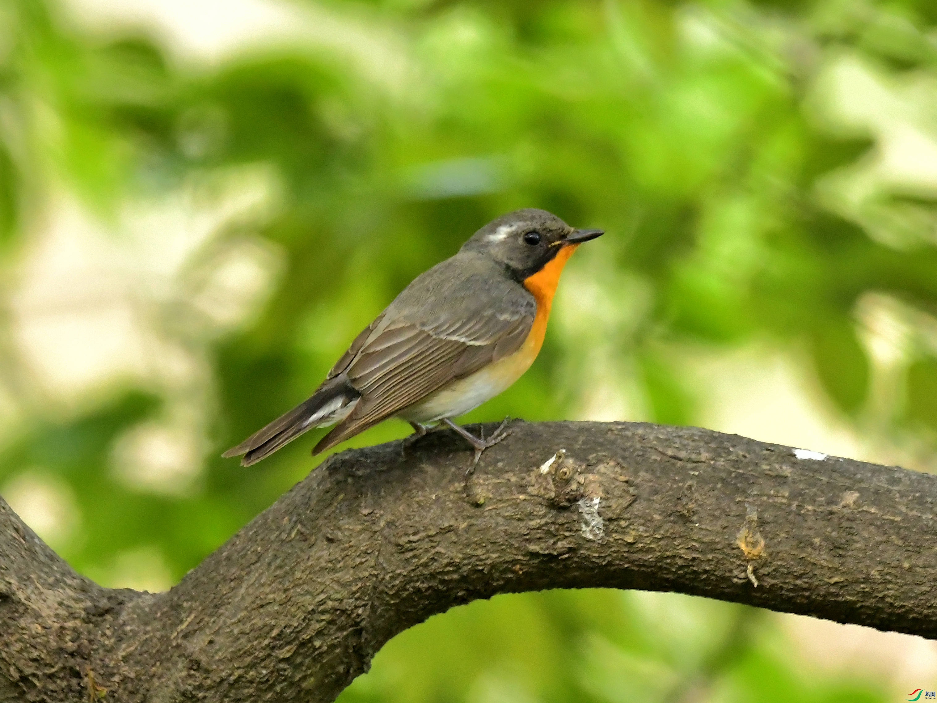 DSC_8279.jpg