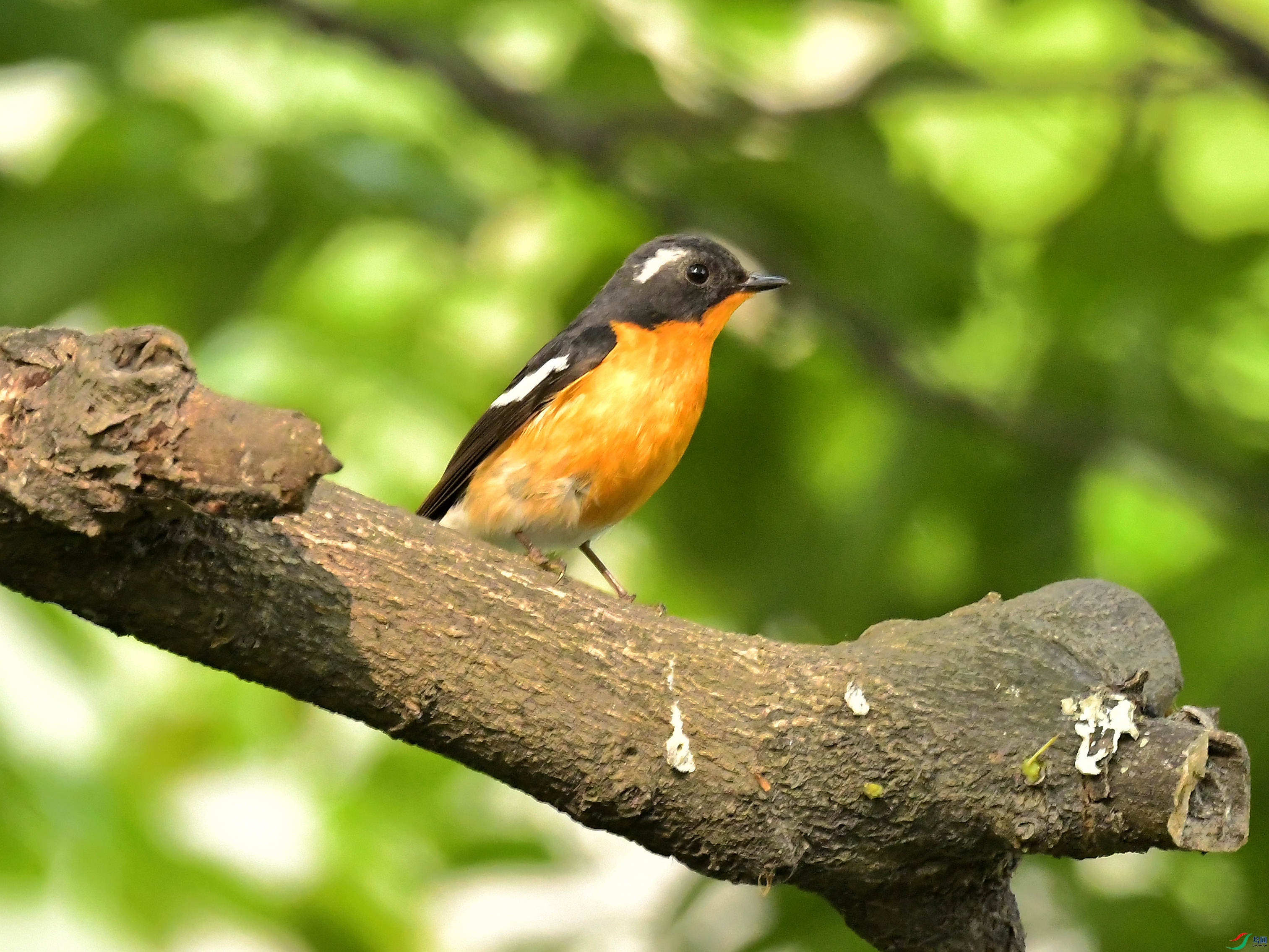 DSC_8282.jpg