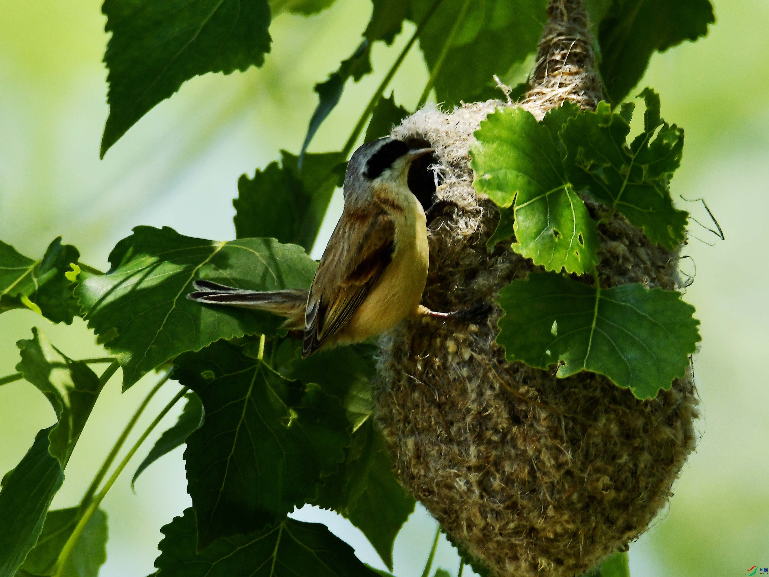 æ���������л���ȸ