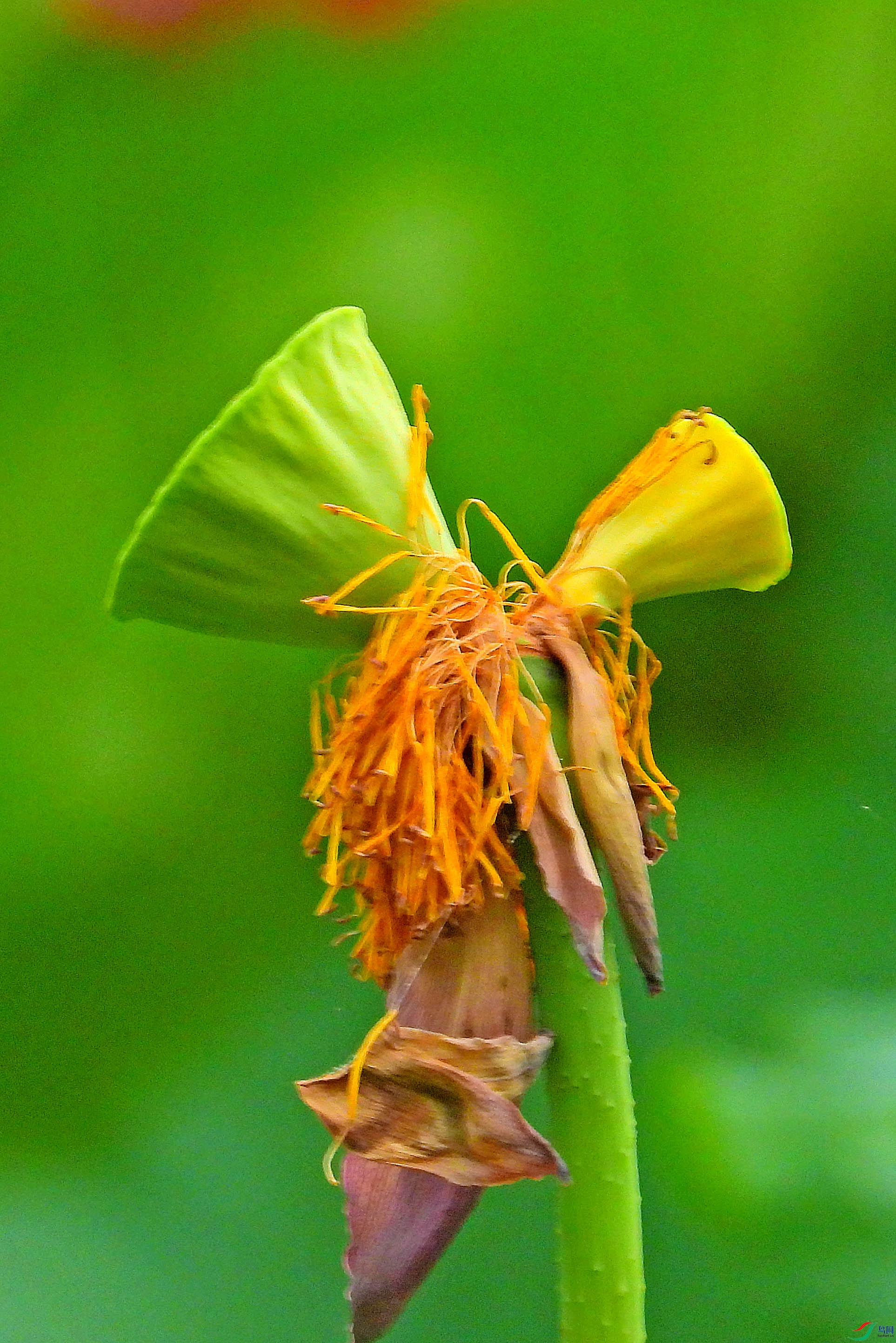 DSCN3563.JPG