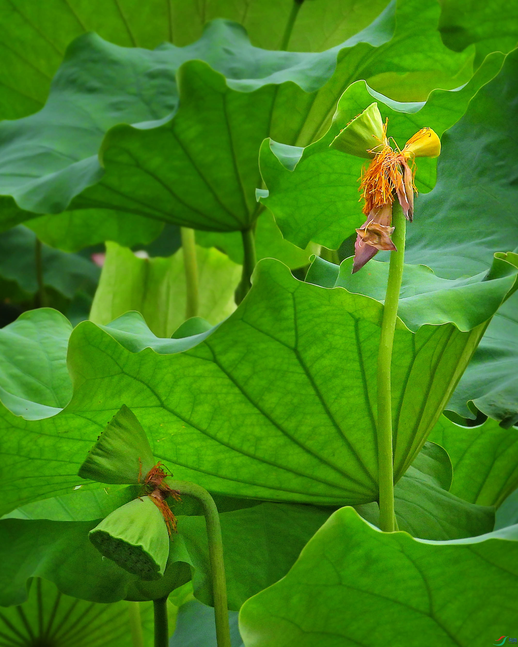 DSCN3565.JPG