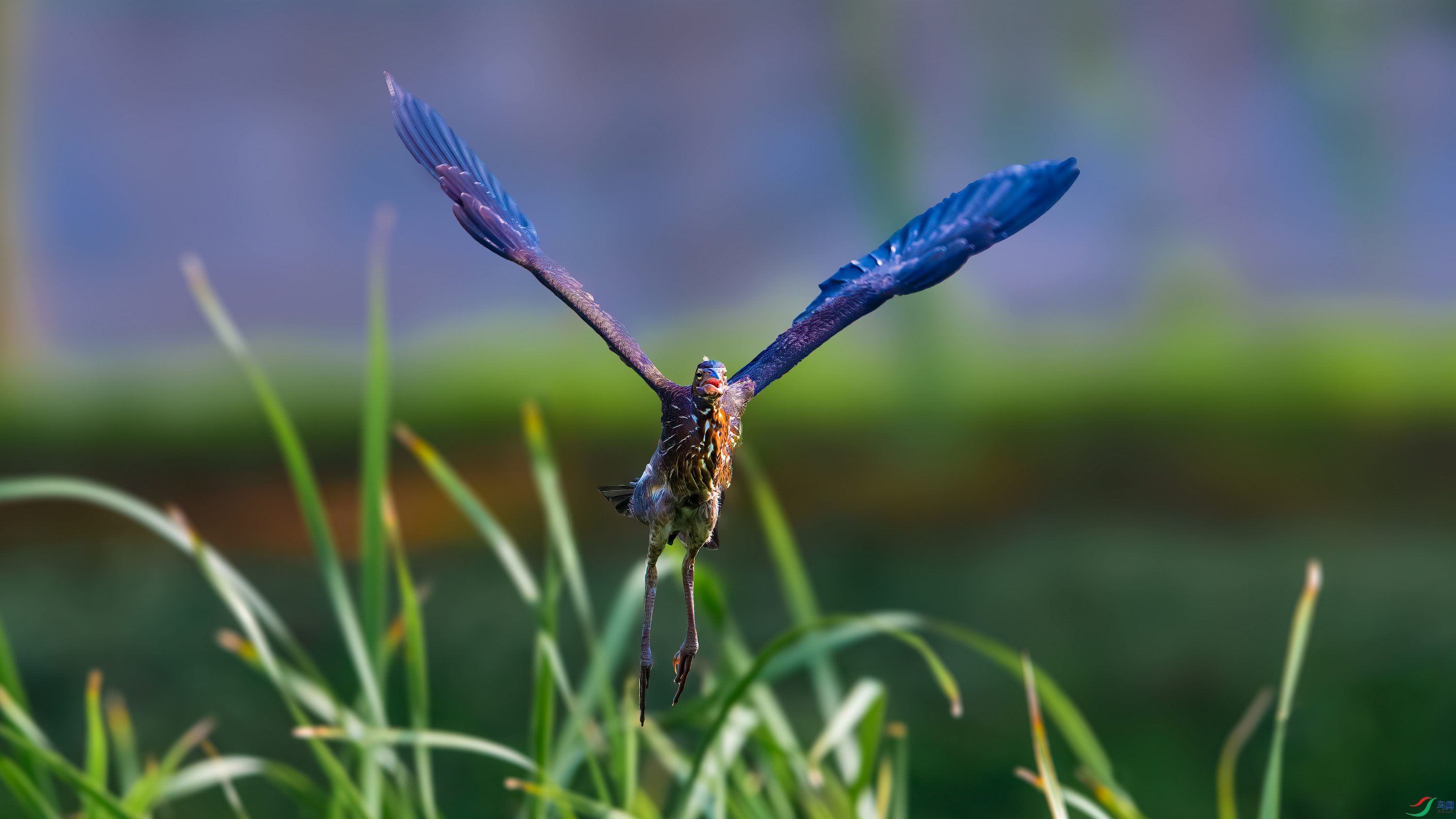 ��ƬDSC_4241 ����.jpg