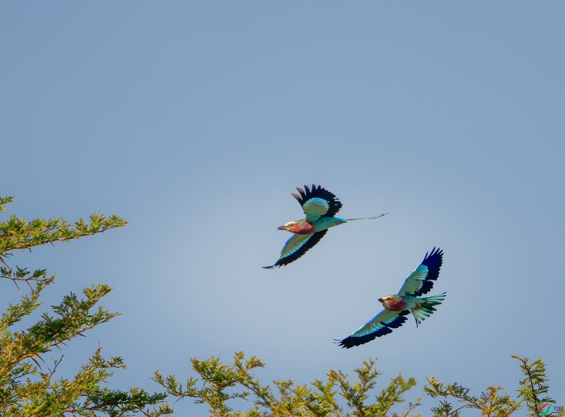 _DSC1336-����ǿ-NR ����.jpg