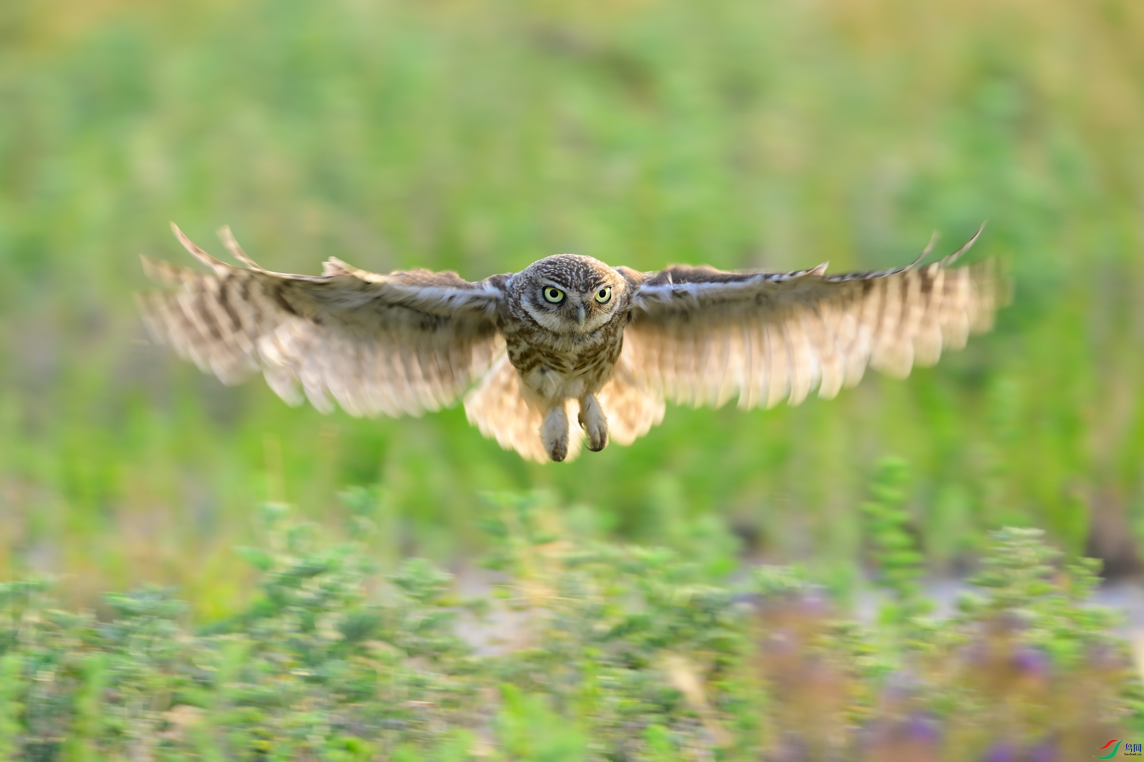 _DSC7112x1.jpg