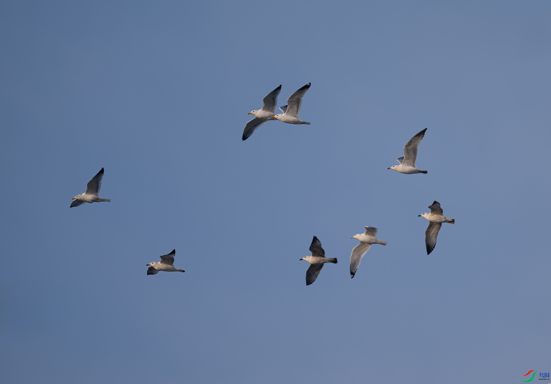 _DSC8770f.jpg